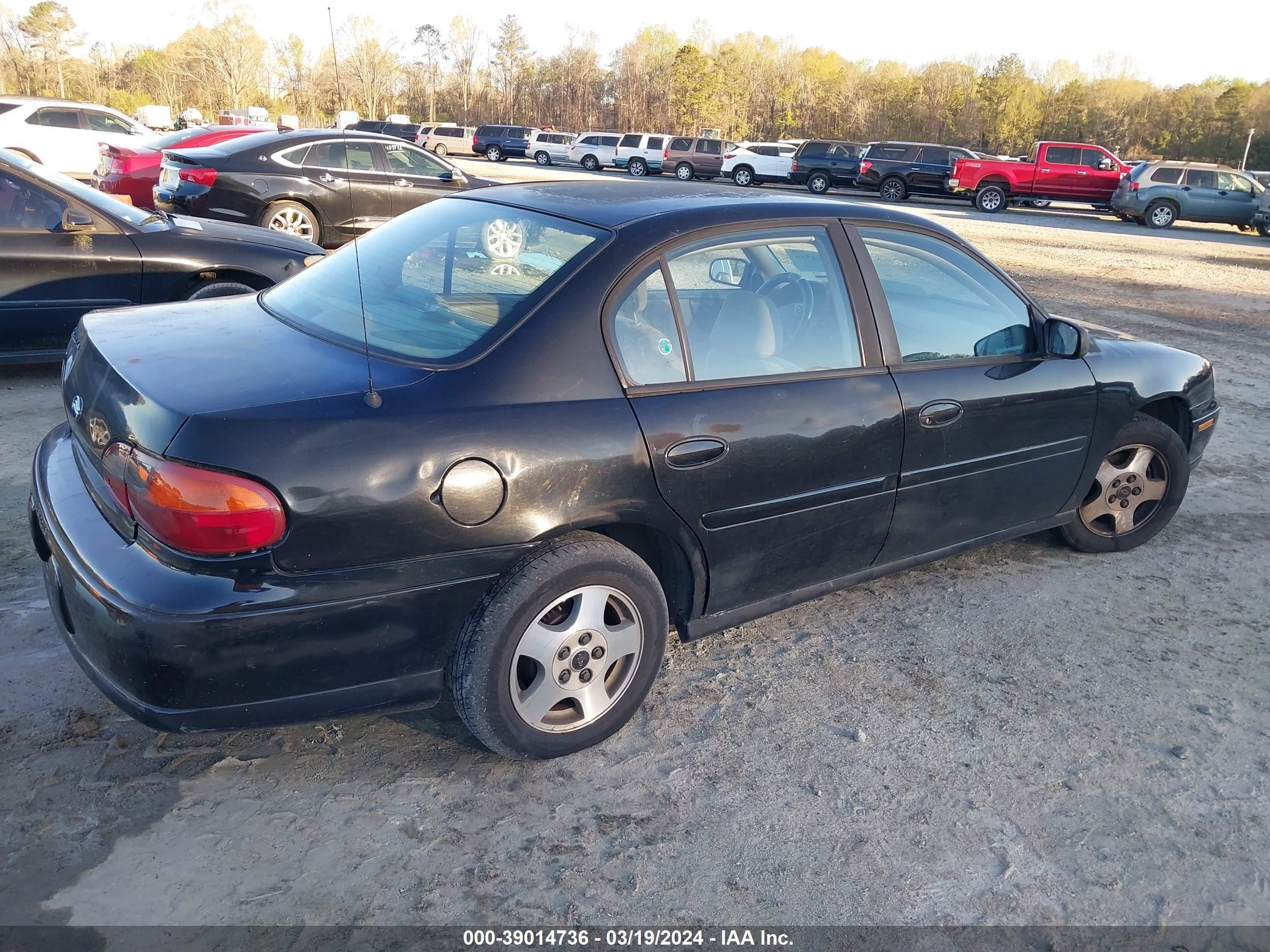 Photo 3 VIN: 1G1NE52J53M650670 - CHEVROLET MALIBU 