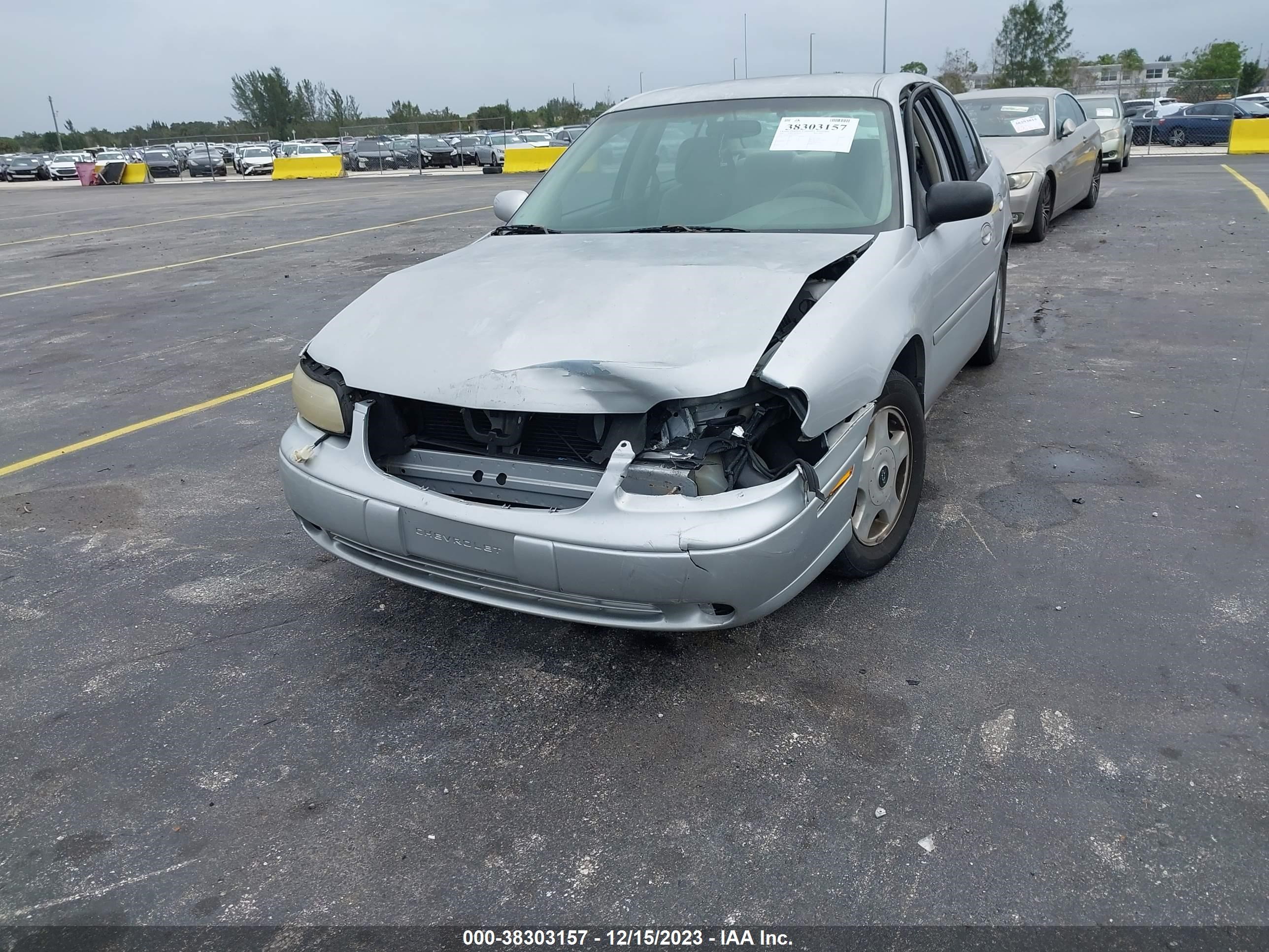 Photo 5 VIN: 1G1NE52J616200348 - CHEVROLET MALIBU 