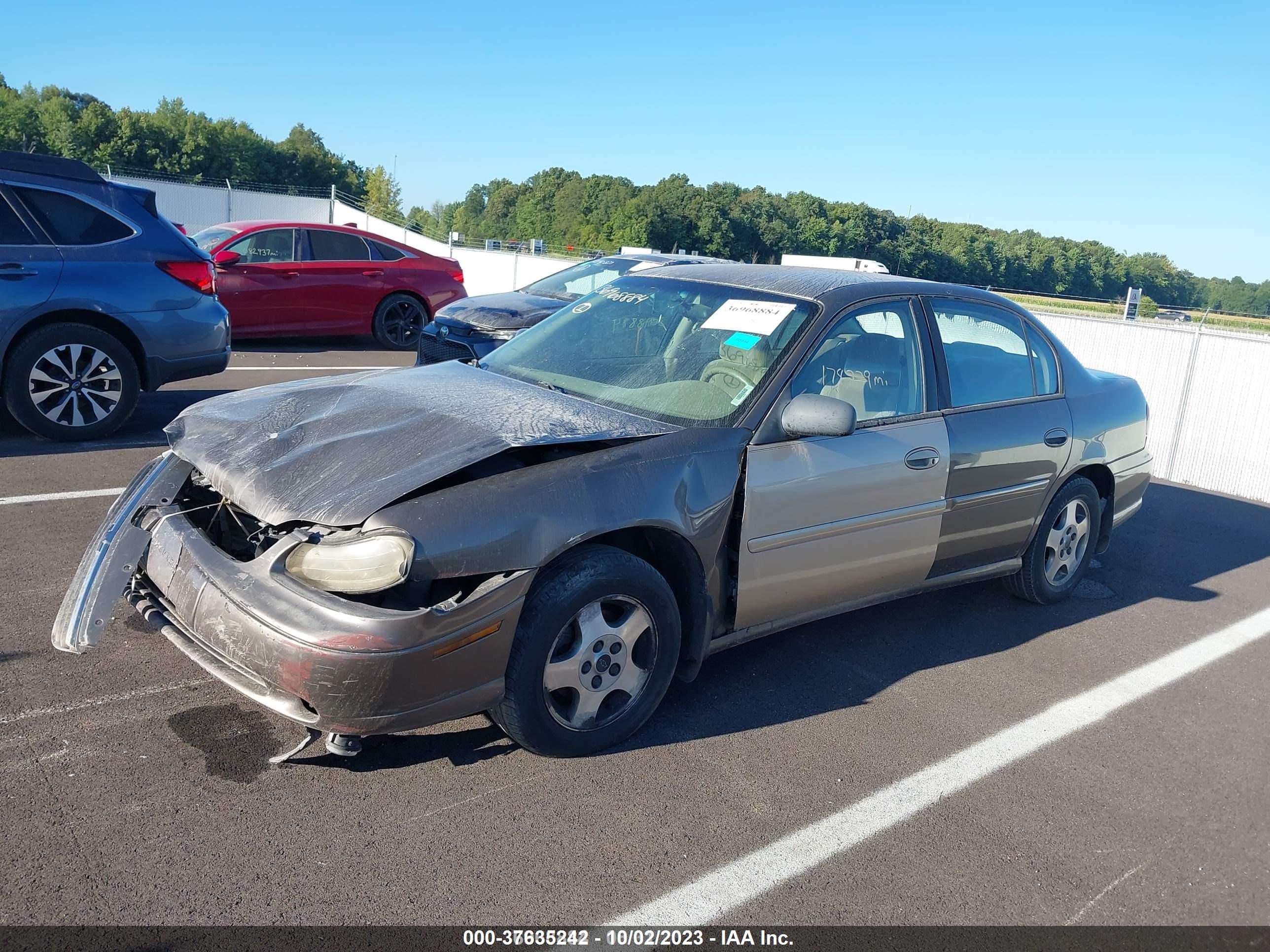 Photo 1 VIN: 1G1NE52J62M695440 - CHEVROLET MALIBU 