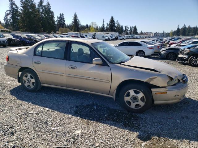 Photo 3 VIN: 1G1NE52J82M657613 - CHEVROLET MALIBU 