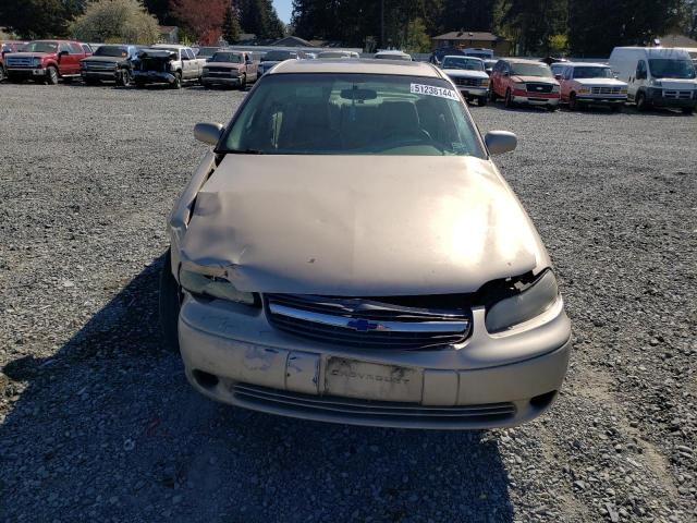 Photo 4 VIN: 1G1NE52J82M657613 - CHEVROLET MALIBU 