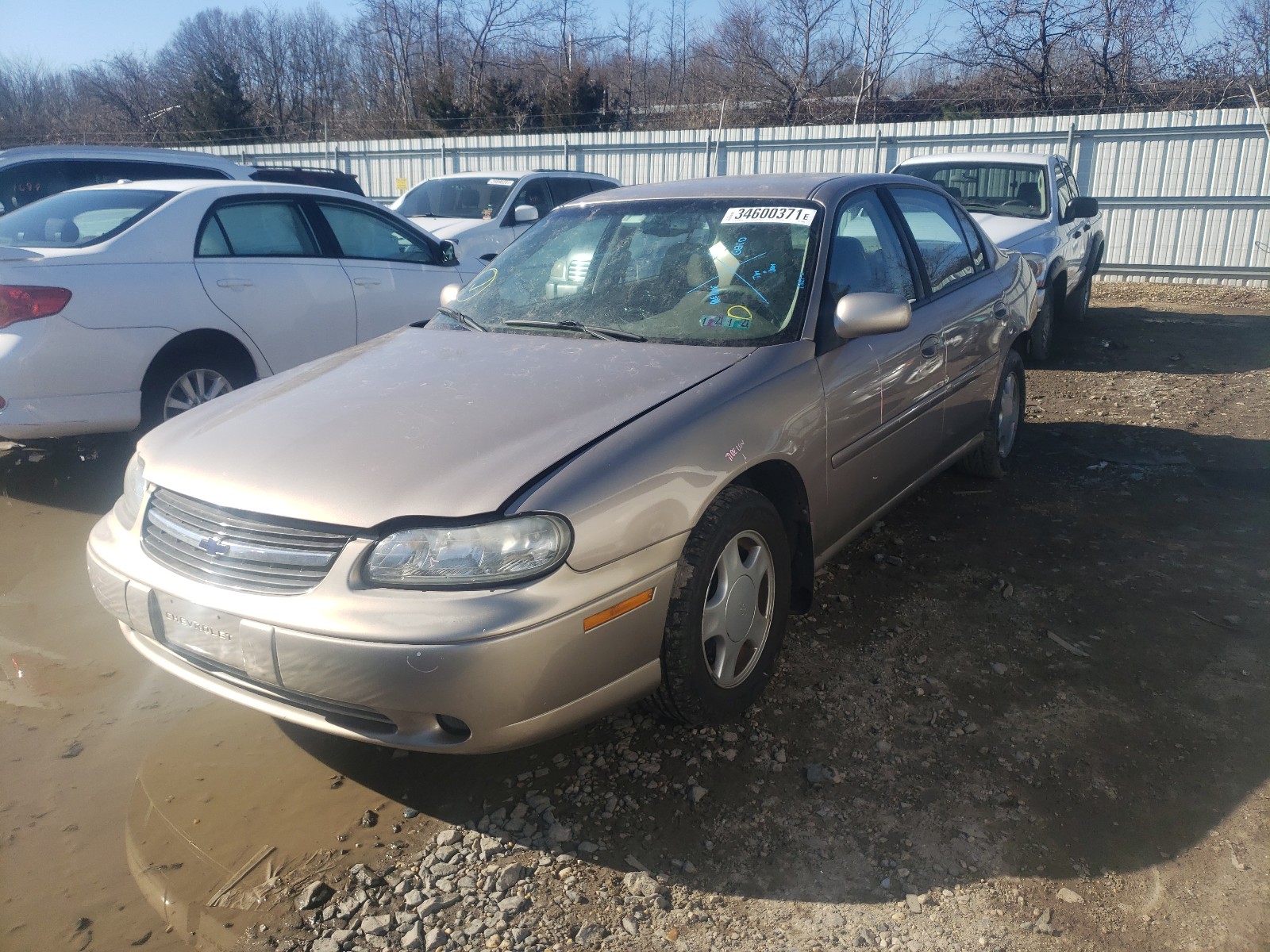 Photo 1 VIN: 1G1NE52J8Y6129079 - CHEVROLET MALIBU LS 