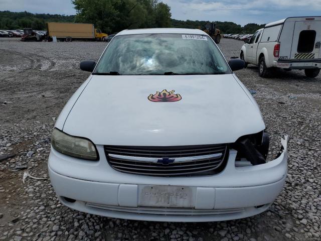 Photo 4 VIN: 1G1NE52J8Y6317987 - CHEVROLET MALIBU 