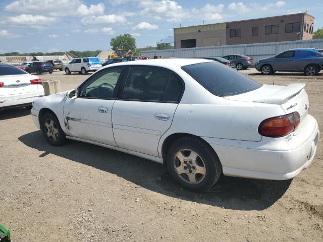 Photo 1 VIN: 1G1NE52JX3M623755 - CHEVROLET MALIBU 