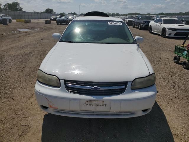 Photo 4 VIN: 1G1NE52JX3M623755 - CHEVROLET MALIBU 