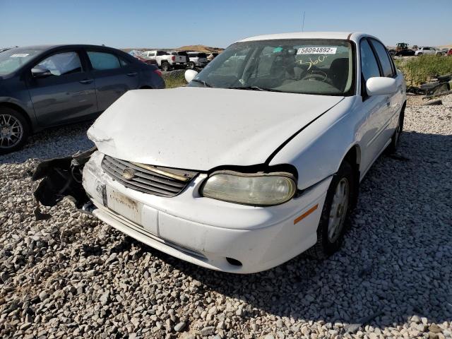 Photo 1 VIN: 1G1NE52M5V6123858 - CHEVROLET MALIBU 