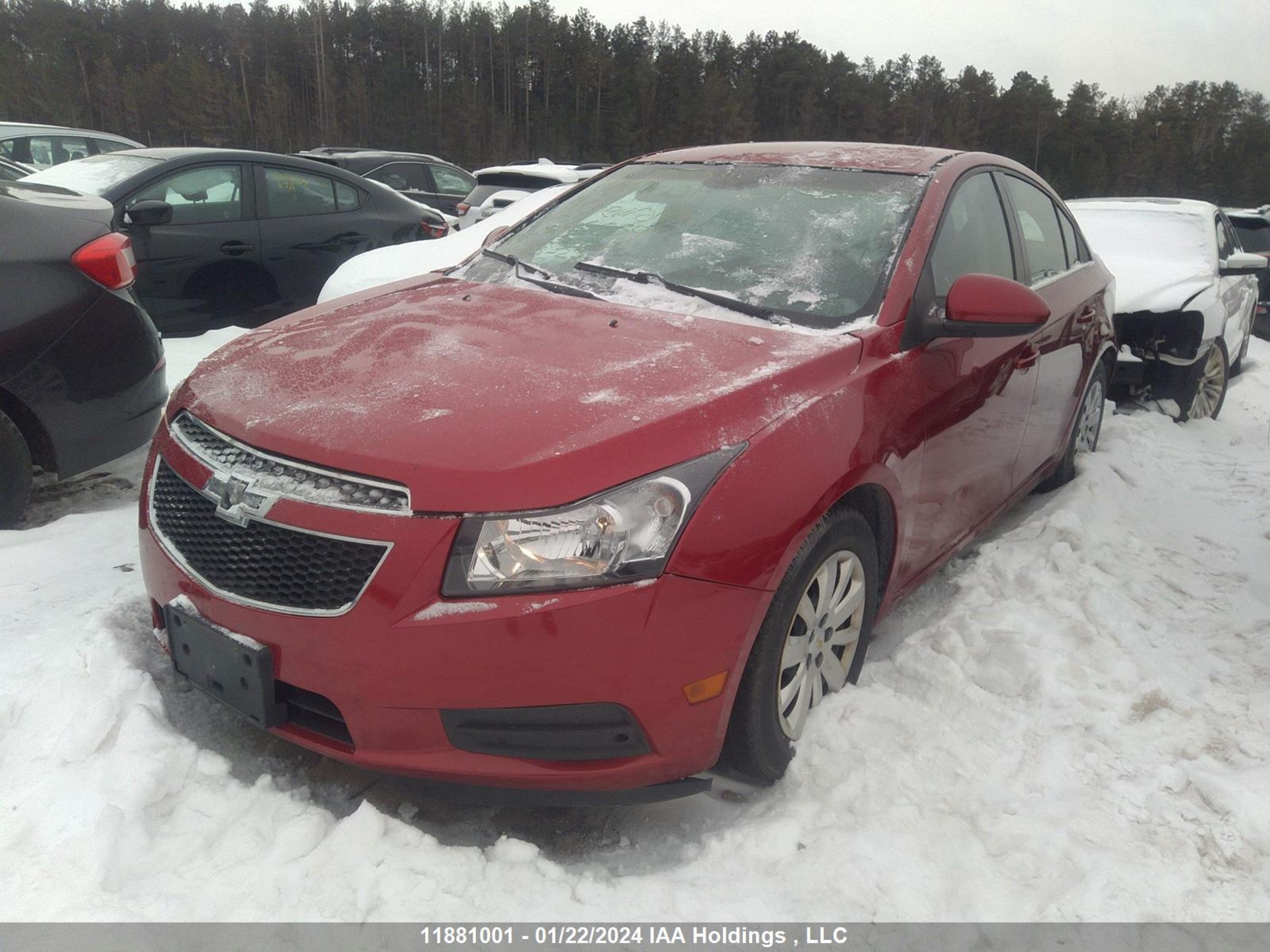 Photo 1 VIN: 1G1PF5S99B7265539 - CHEVROLET CRUZE 