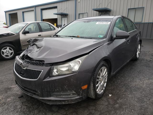 Photo 1 VIN: 1G1PK5S90B7245191 - CHEVROLET CRUZE ECO 