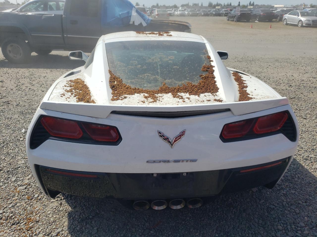 Photo 5 VIN: 1G1YB2D77G5114275 - CHEVROLET CORVETTE 