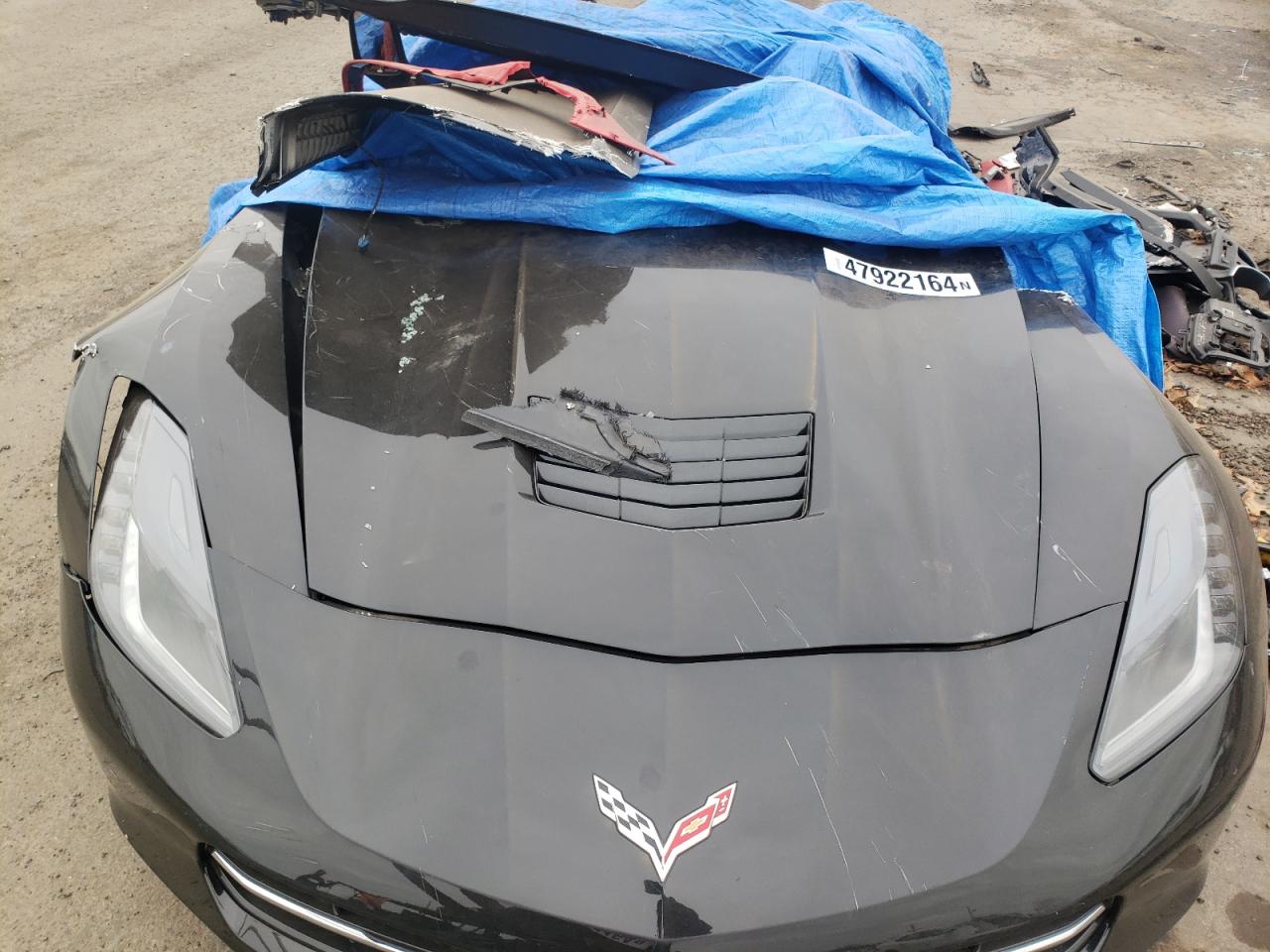 Photo 10 VIN: 1G1YL3D77E5129312 - CHEVROLET CORVETTE 