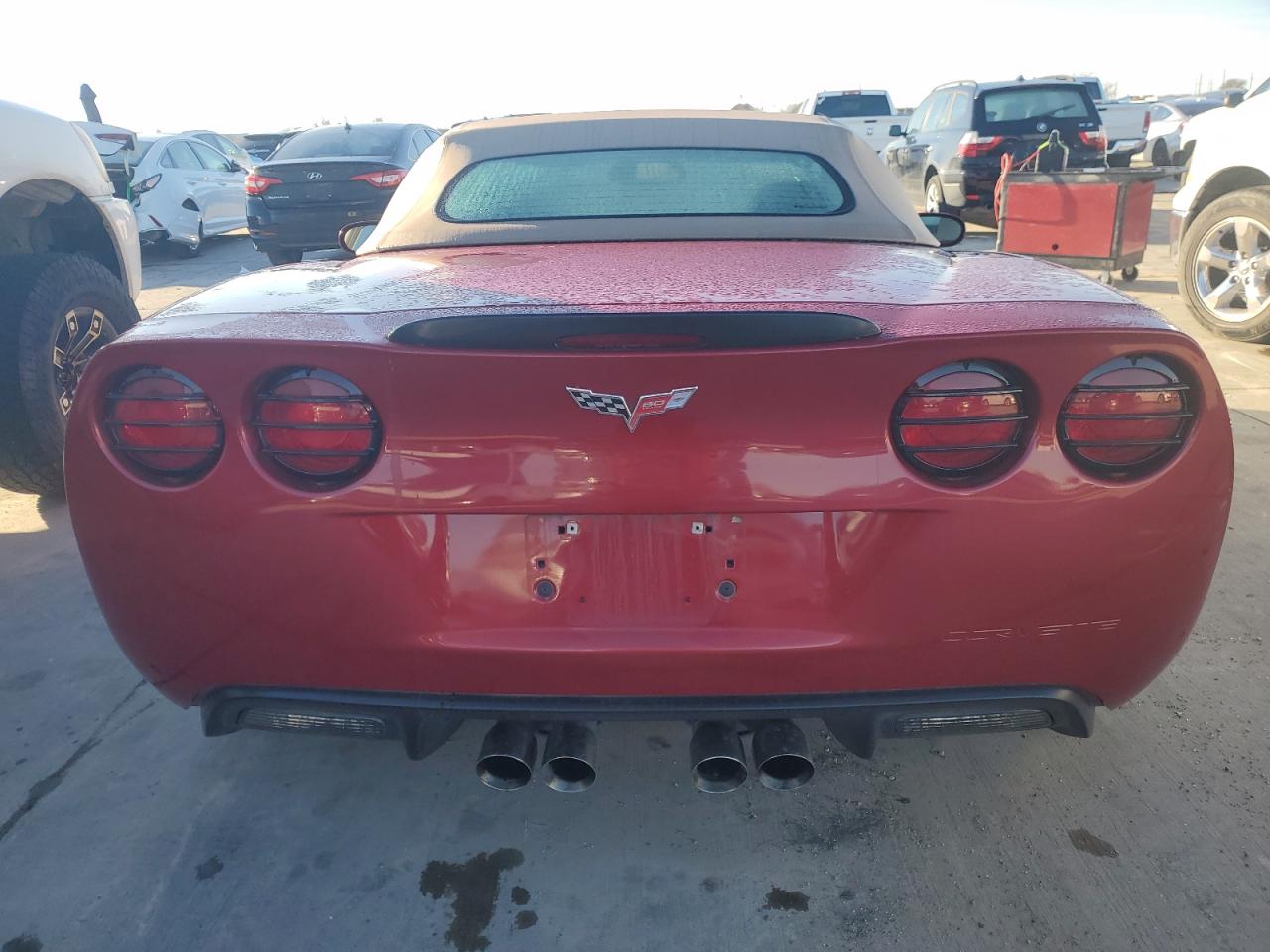 Photo 5 VIN: 1G1YW3DW3D5100547 - CHEVROLET CORVETTE 