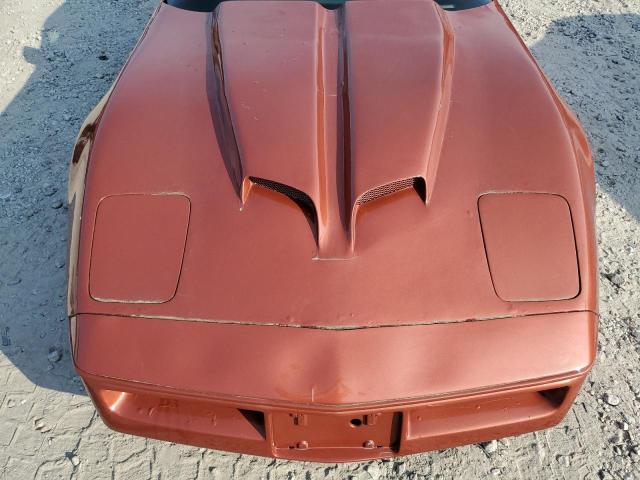 Photo 10 VIN: 1G1YY0781G5104882 - CHEVROLET CORVETTE 