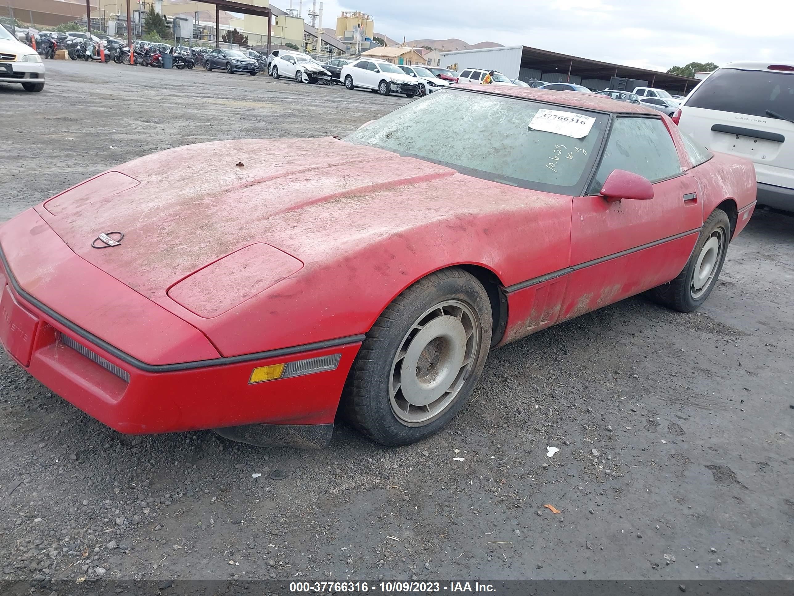 Photo 1 VIN: 1G1YY0783G5126561 - CHEVROLET CORVETTE 