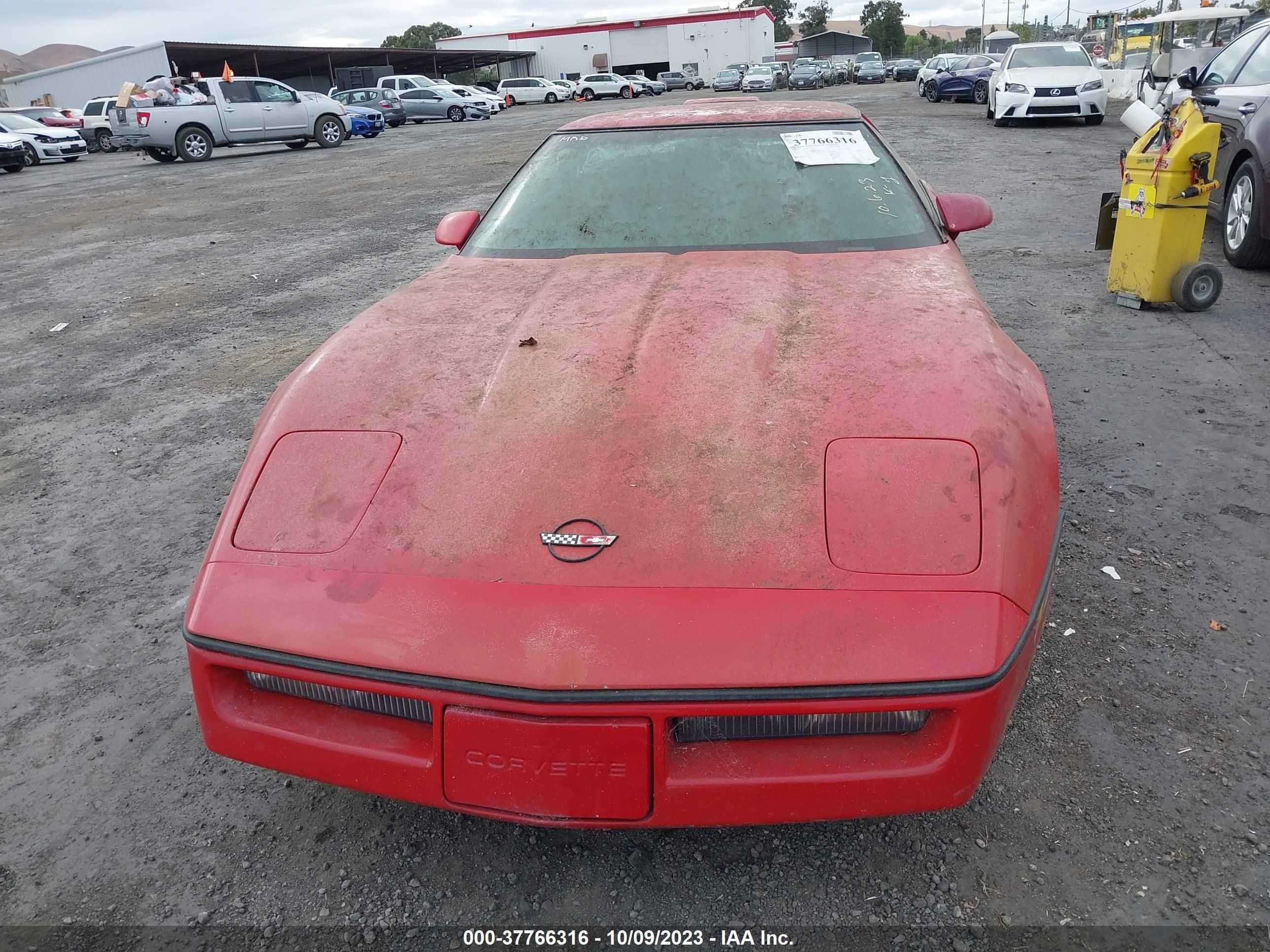 Photo 5 VIN: 1G1YY0783G5126561 - CHEVROLET CORVETTE 