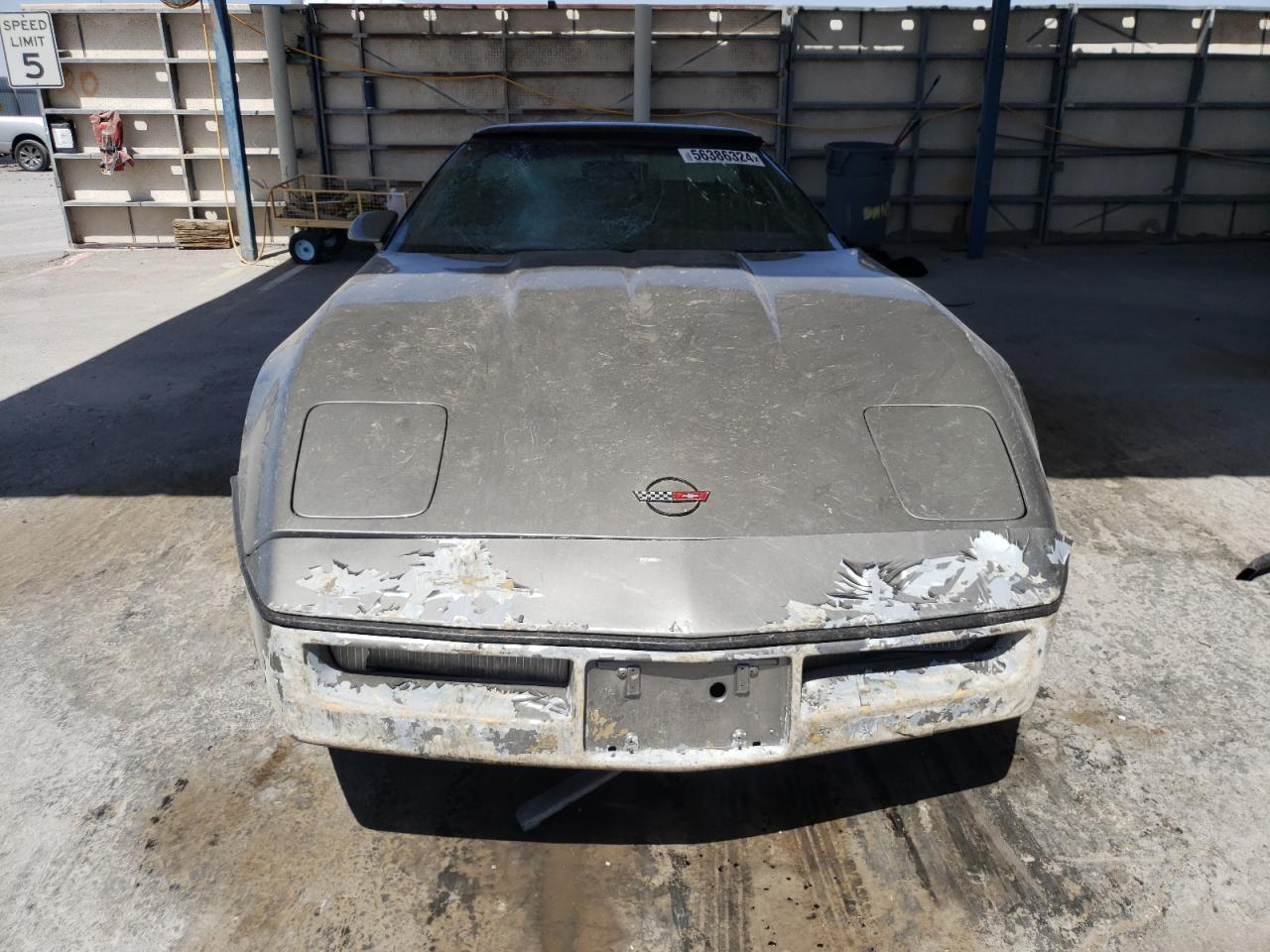 Photo 4 VIN: 1G1YY0784F5100260 - CHEVROLET CORVETTE 