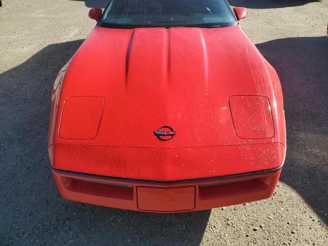 Photo 10 VIN: 1G1YY0785G5110488 - CHEVROLET CORVETTE 