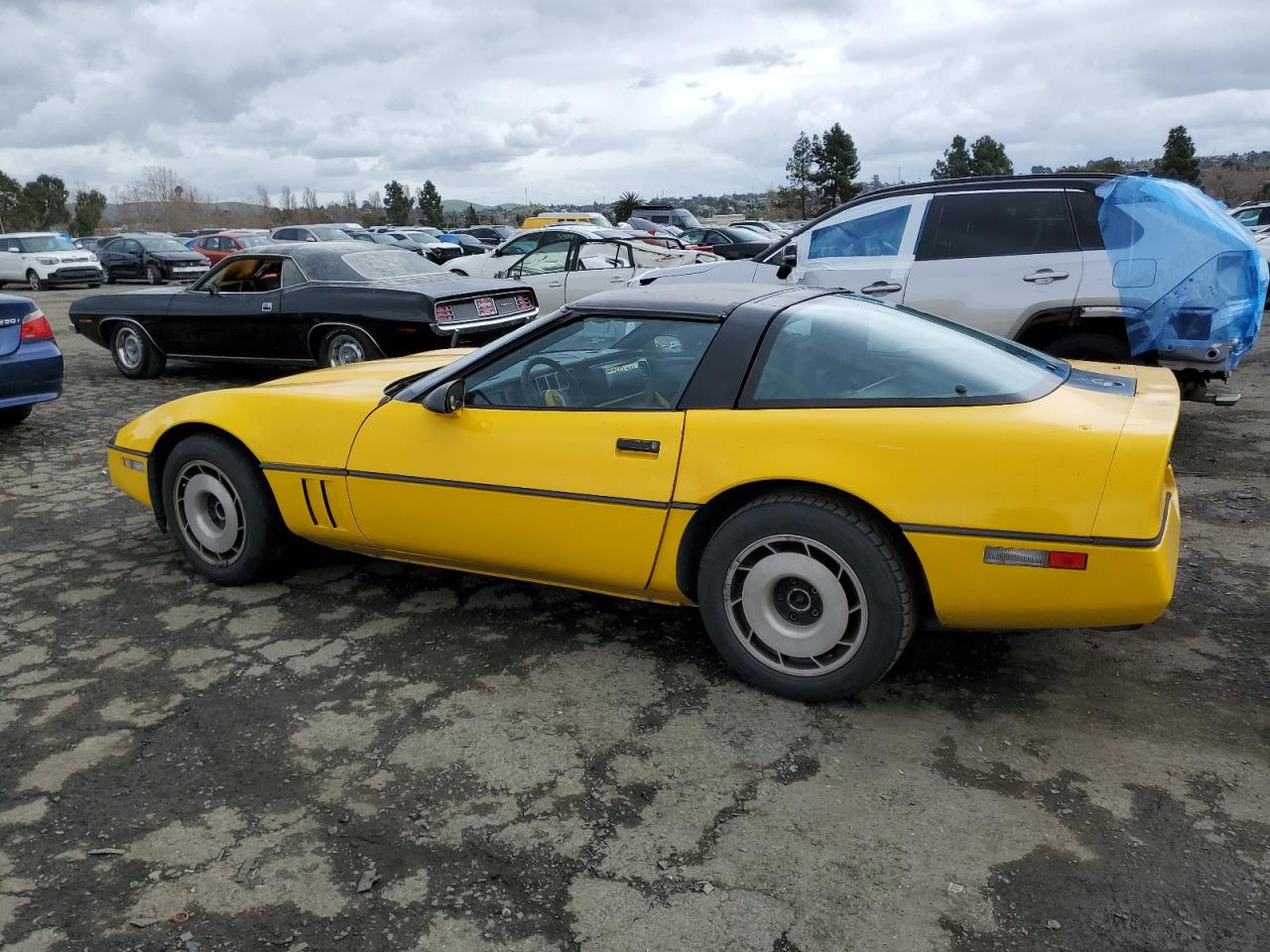 Photo 1 VIN: 1G1YY0786F5116850 - CHEVROLET CORVETTE 