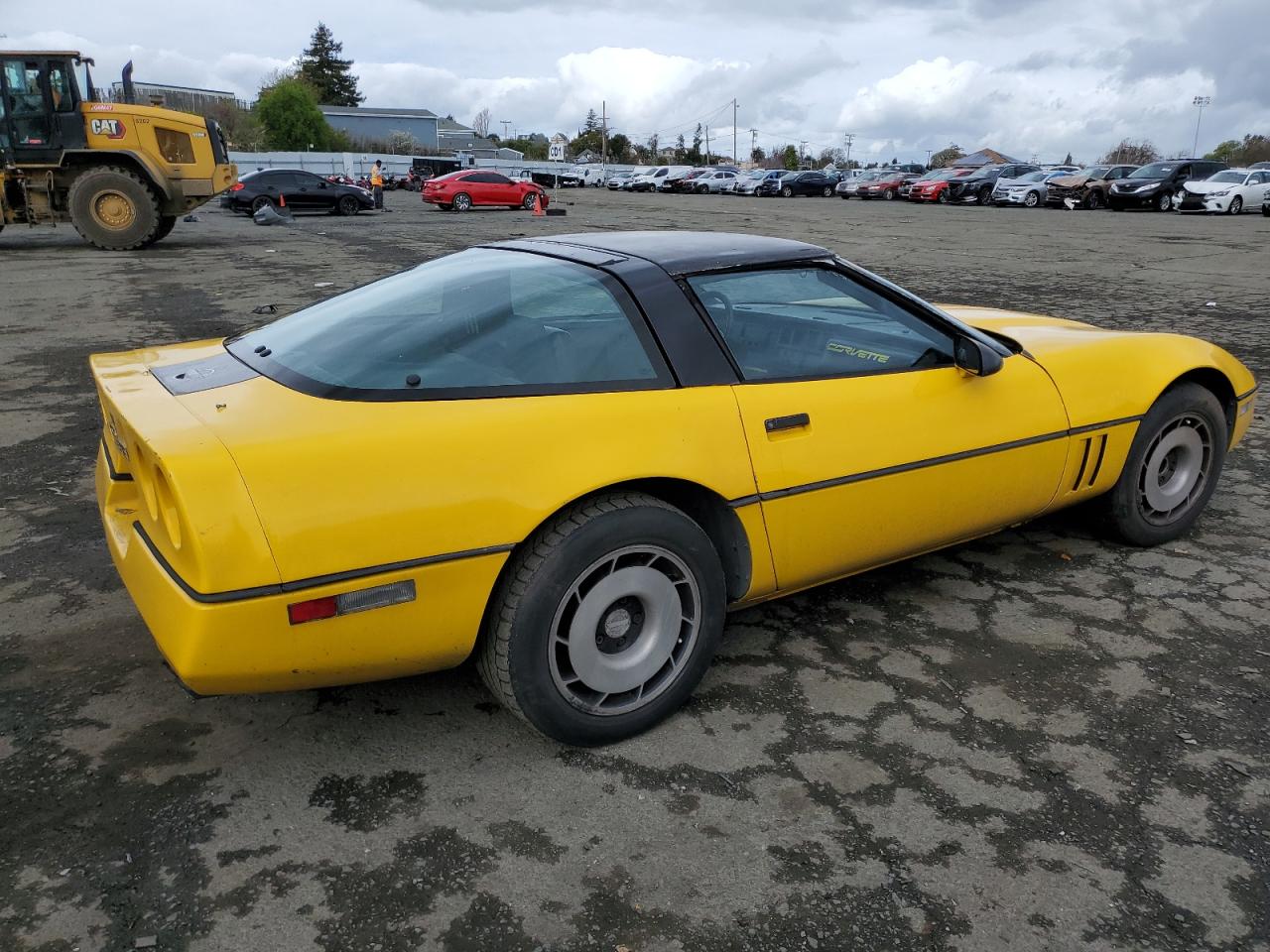 Photo 2 VIN: 1G1YY0786F5116850 - CHEVROLET CORVETTE 