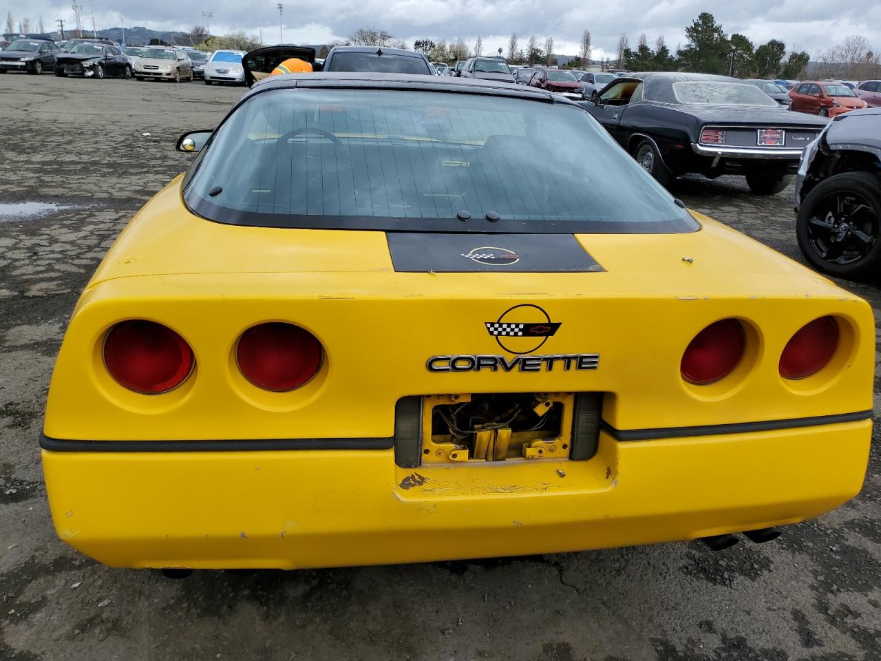 Photo 5 VIN: 1G1YY0786F5116850 - CHEVROLET CORVETTE 