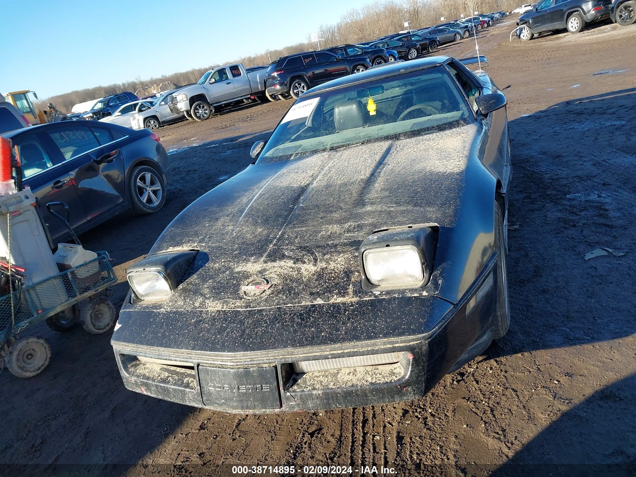 Photo 5 VIN: 1G1YY0789F5108483 - CHEVROLET CORVETTE 