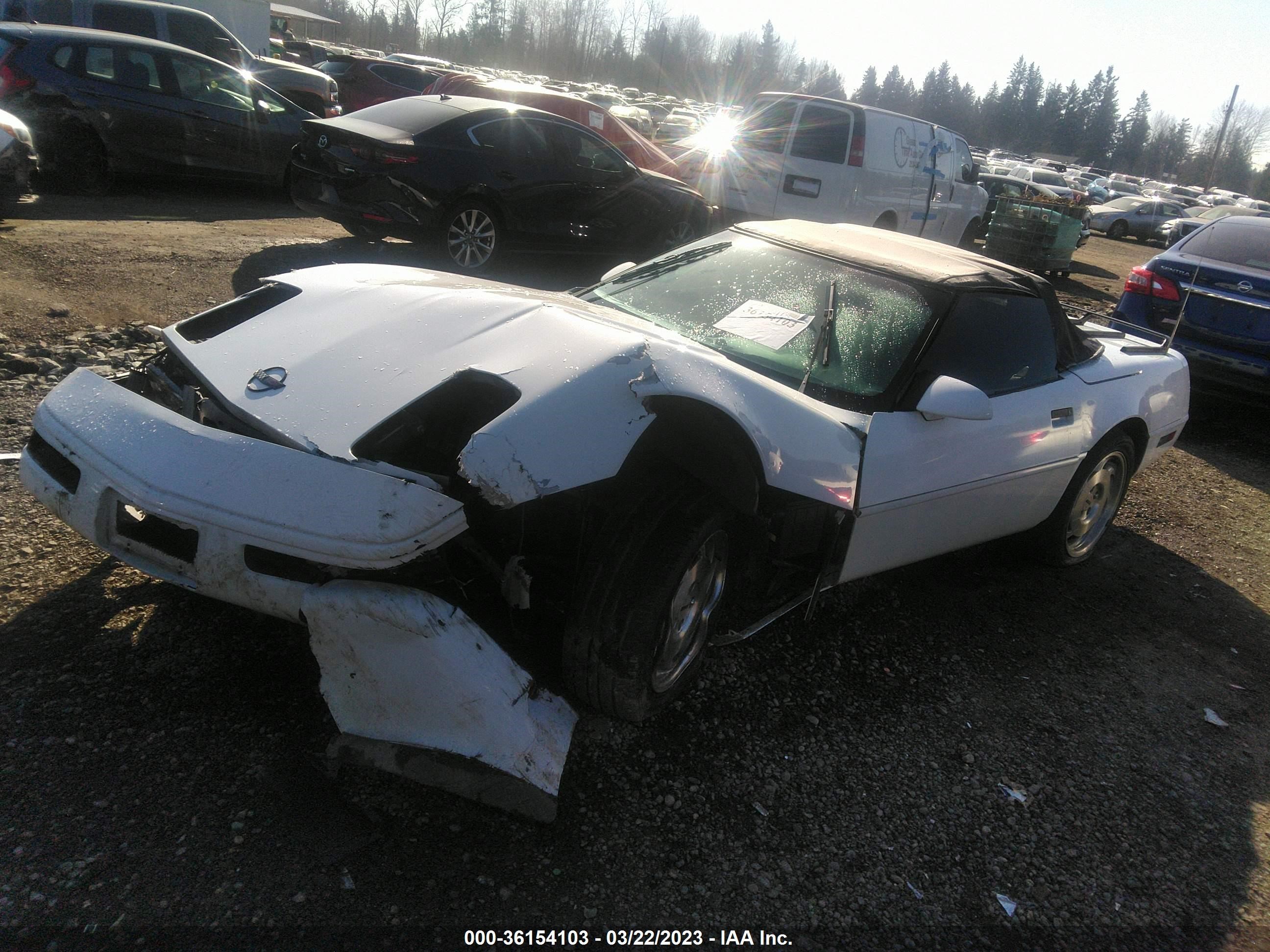 Photo 1 VIN: 1G1YY0789F5120603 - CHEVROLET CORVETTE 