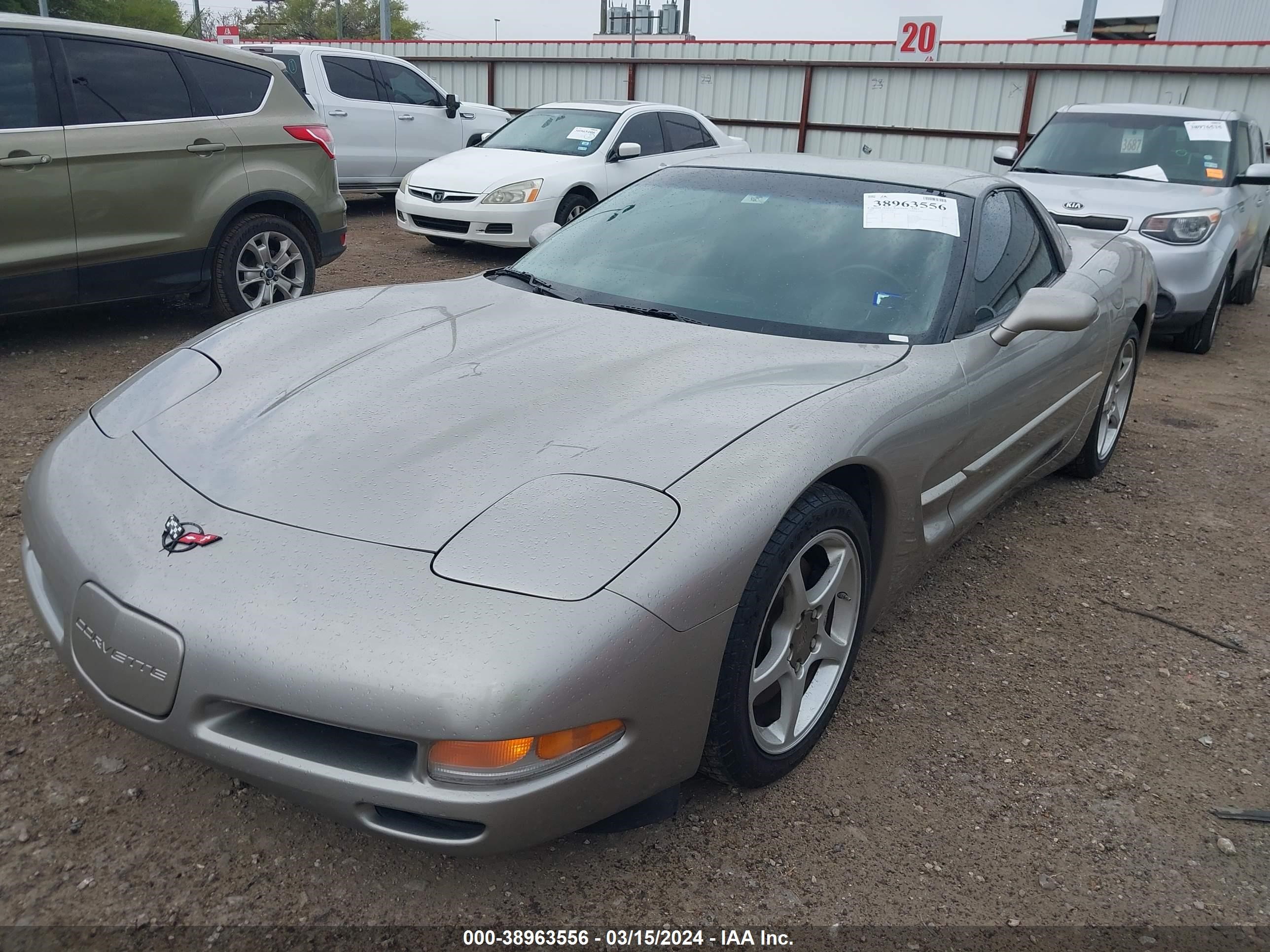 Photo 5 VIN: 1G1YY12G3X5111949 - CHEVROLET CORVETTE 