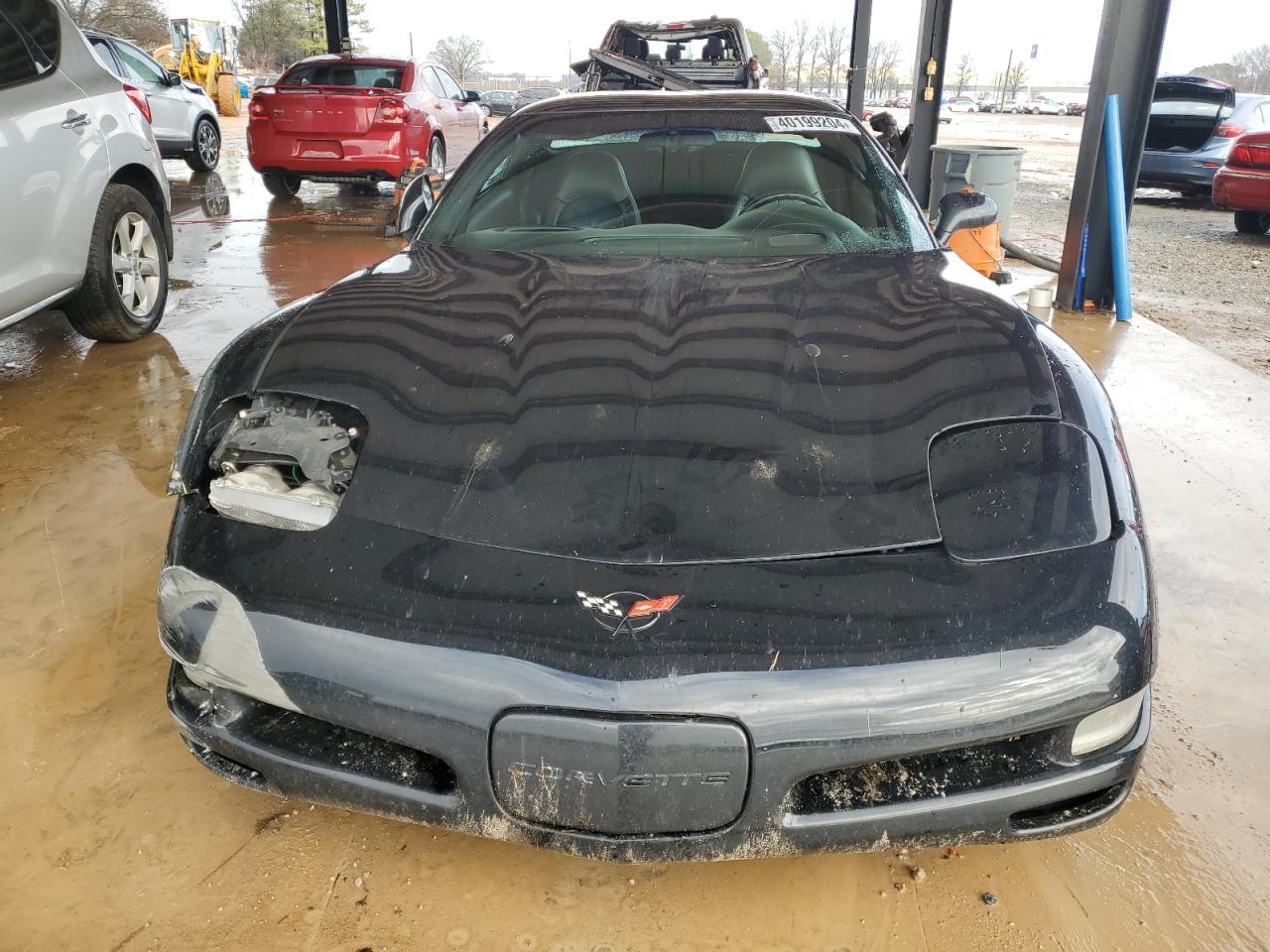 Photo 4 VIN: 1G1YY12G8Y5119899 - CHEVROLET CORVETTE 