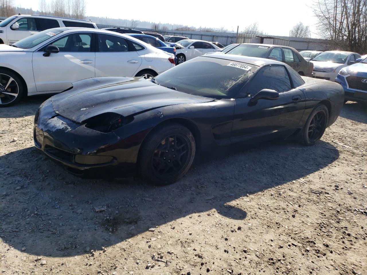 Photo 0 VIN: 1G1YY12S015102461 - CHEVROLET CORVETTE 