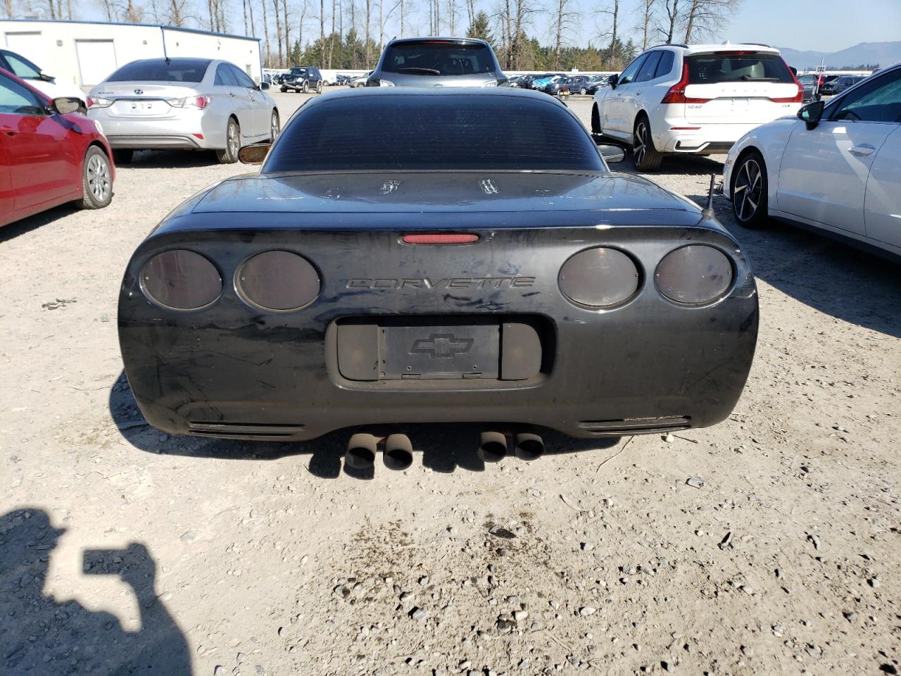 Photo 5 VIN: 1G1YY12S015102461 - CHEVROLET CORVETTE 