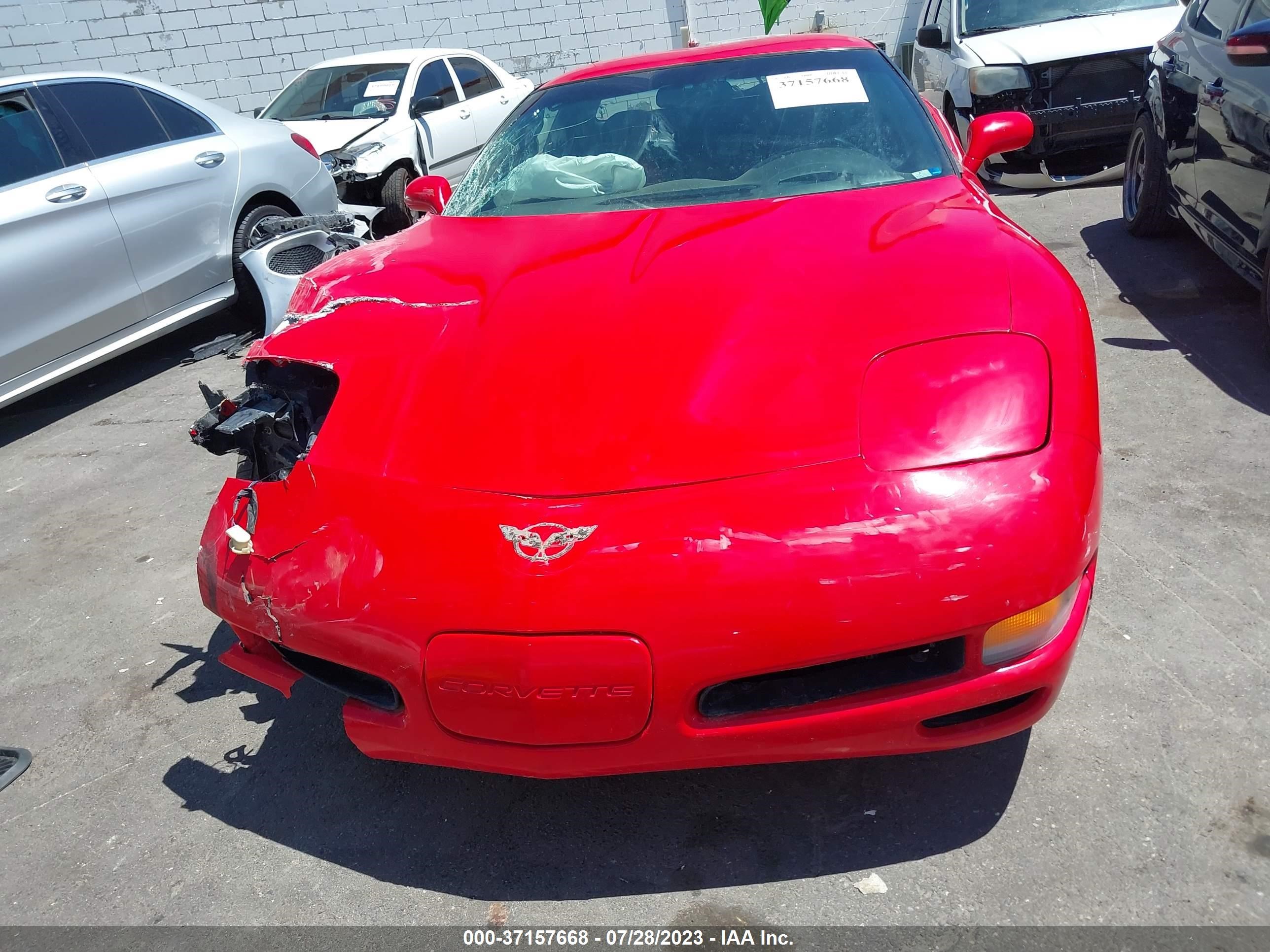 Photo 11 VIN: 1G1YY12S845110344 - CHEVROLET CORVETTE 