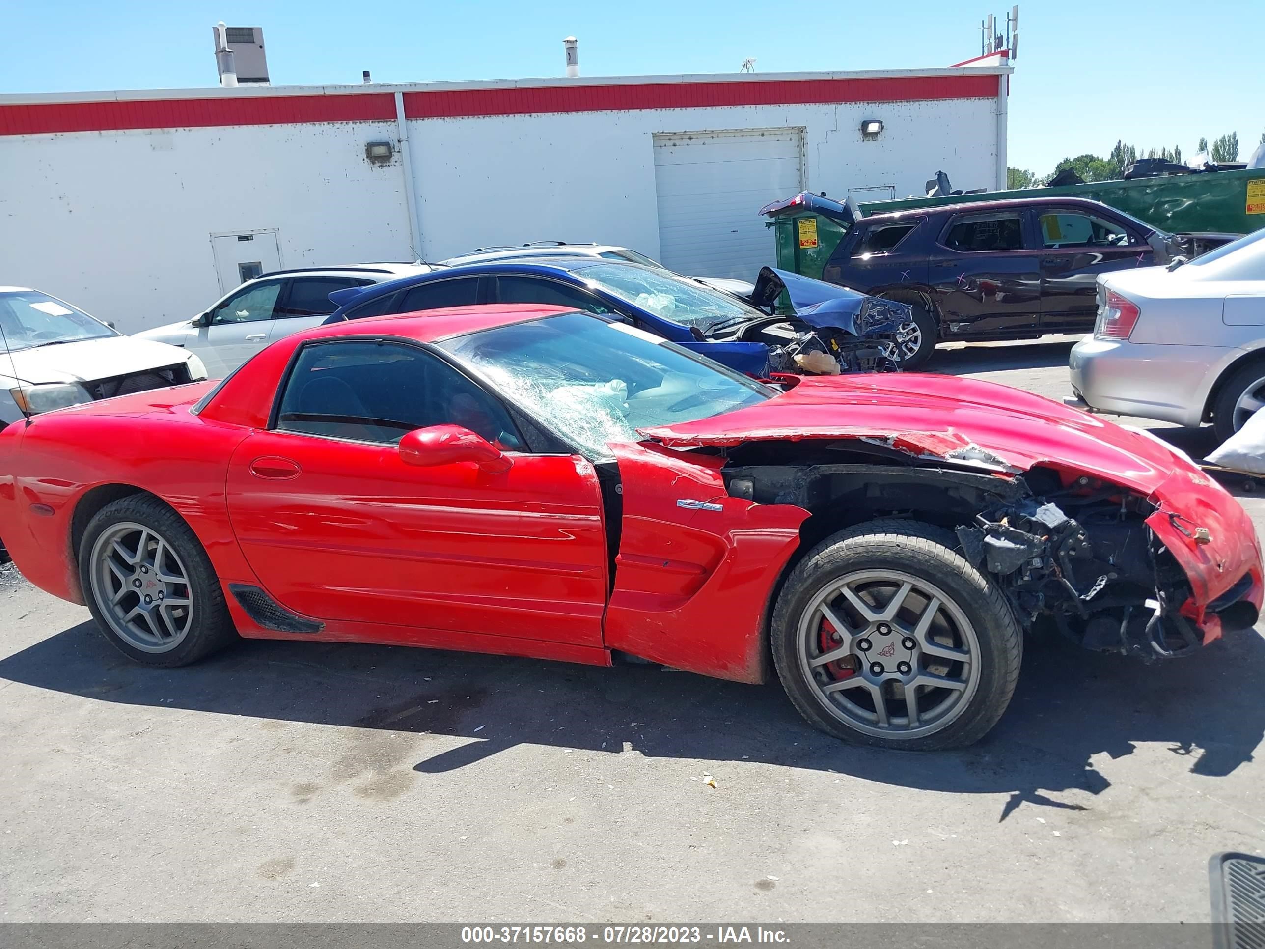 Photo 12 VIN: 1G1YY12S845110344 - CHEVROLET CORVETTE 