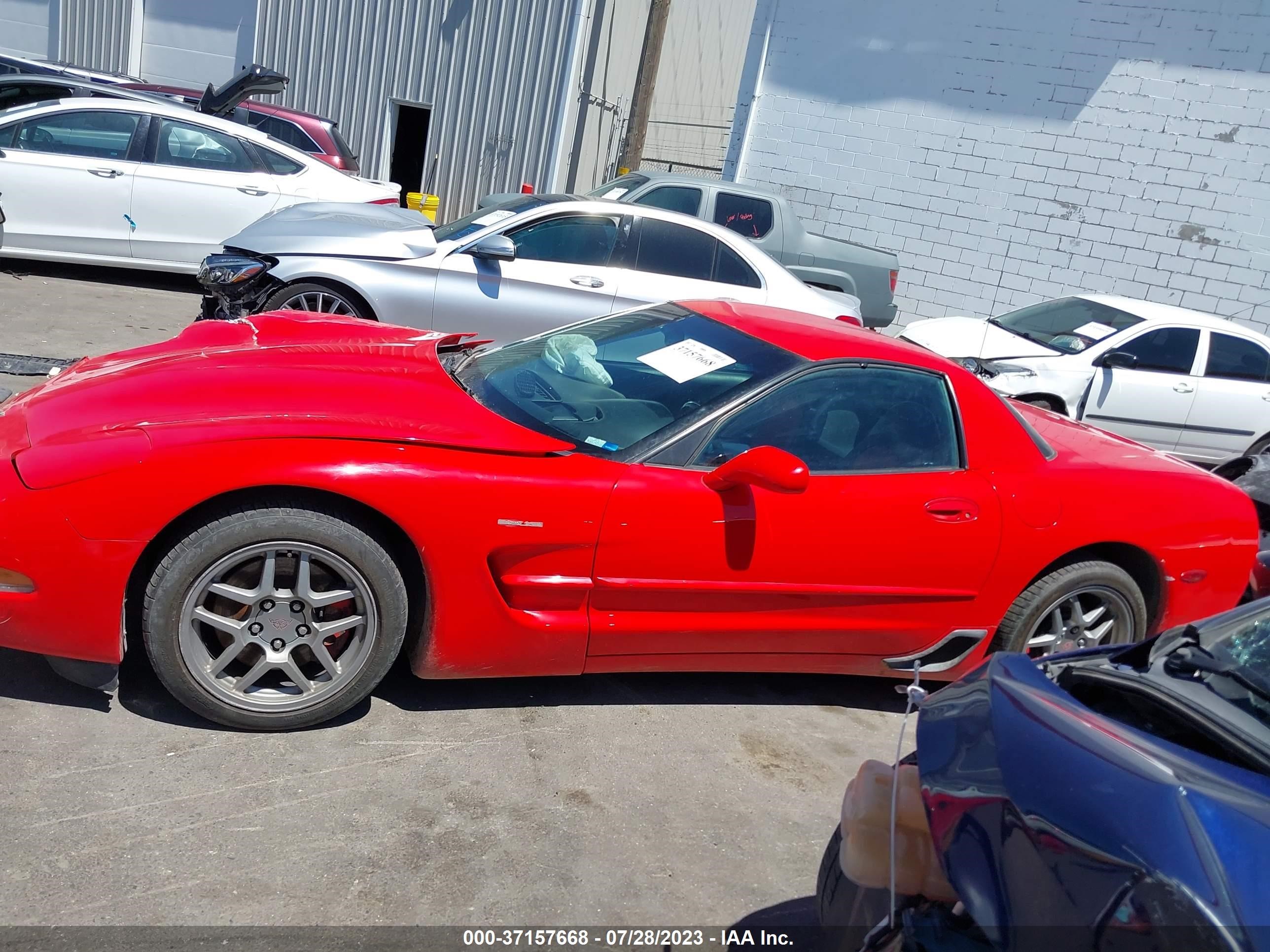 Photo 13 VIN: 1G1YY12S845110344 - CHEVROLET CORVETTE 