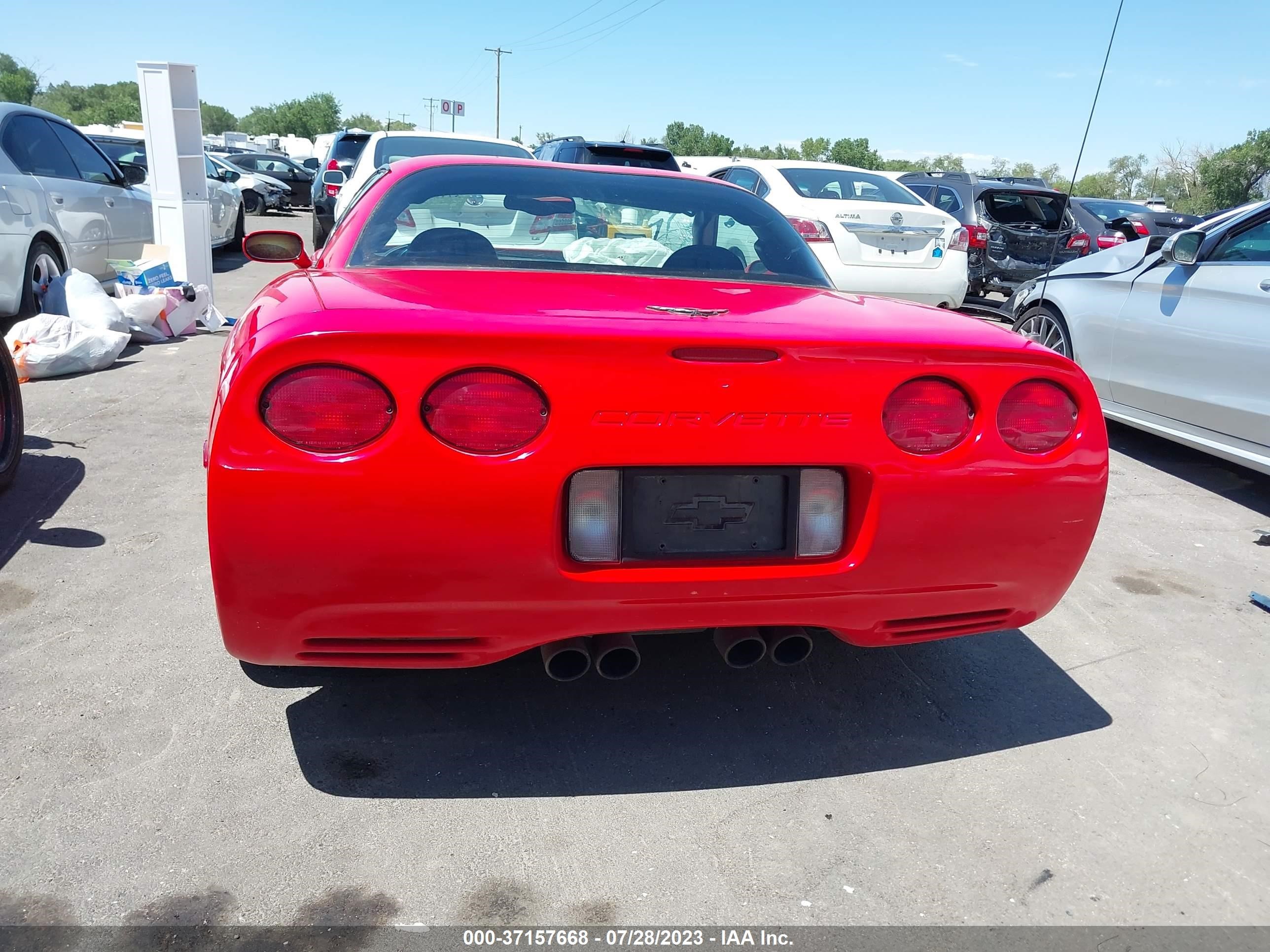 Photo 15 VIN: 1G1YY12S845110344 - CHEVROLET CORVETTE 