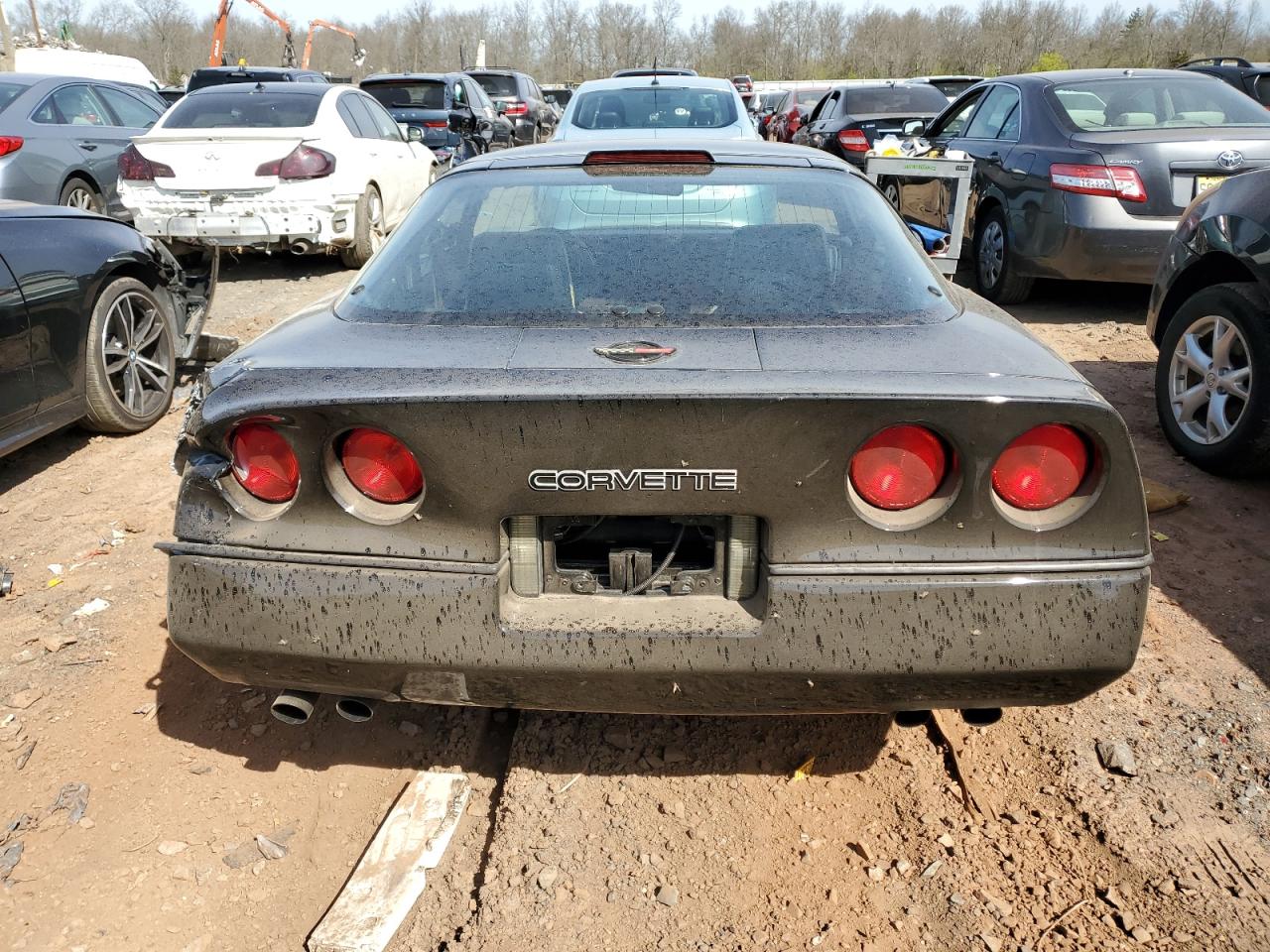 Photo 5 VIN: 1G1YY2180H5111697 - CHEVROLET CORVETTE 