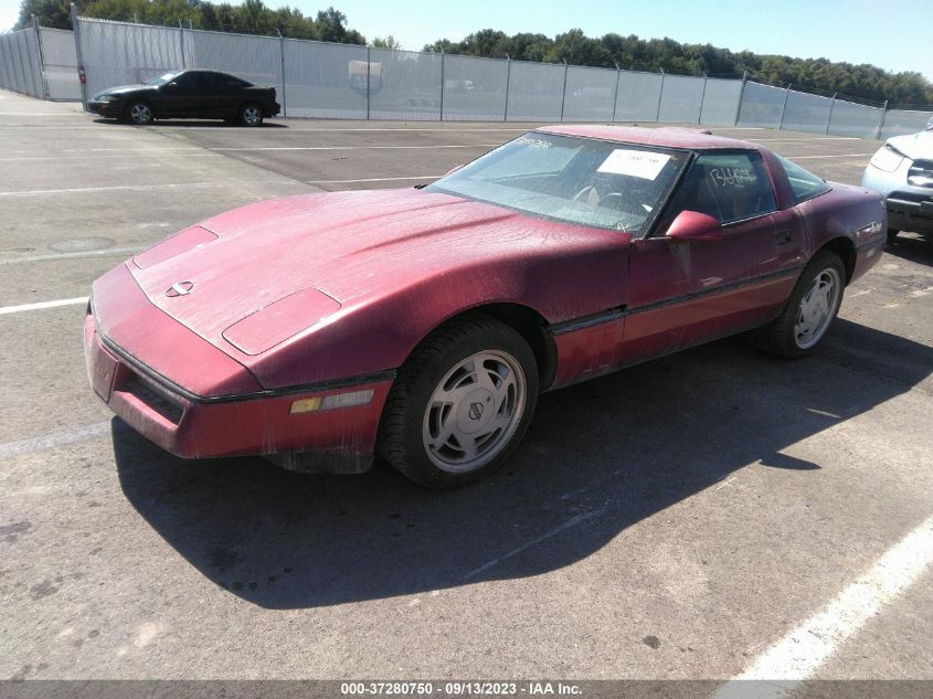 Photo 1 VIN: 1G1YY2181K5105365 - CHEVROLET CORVETTE 