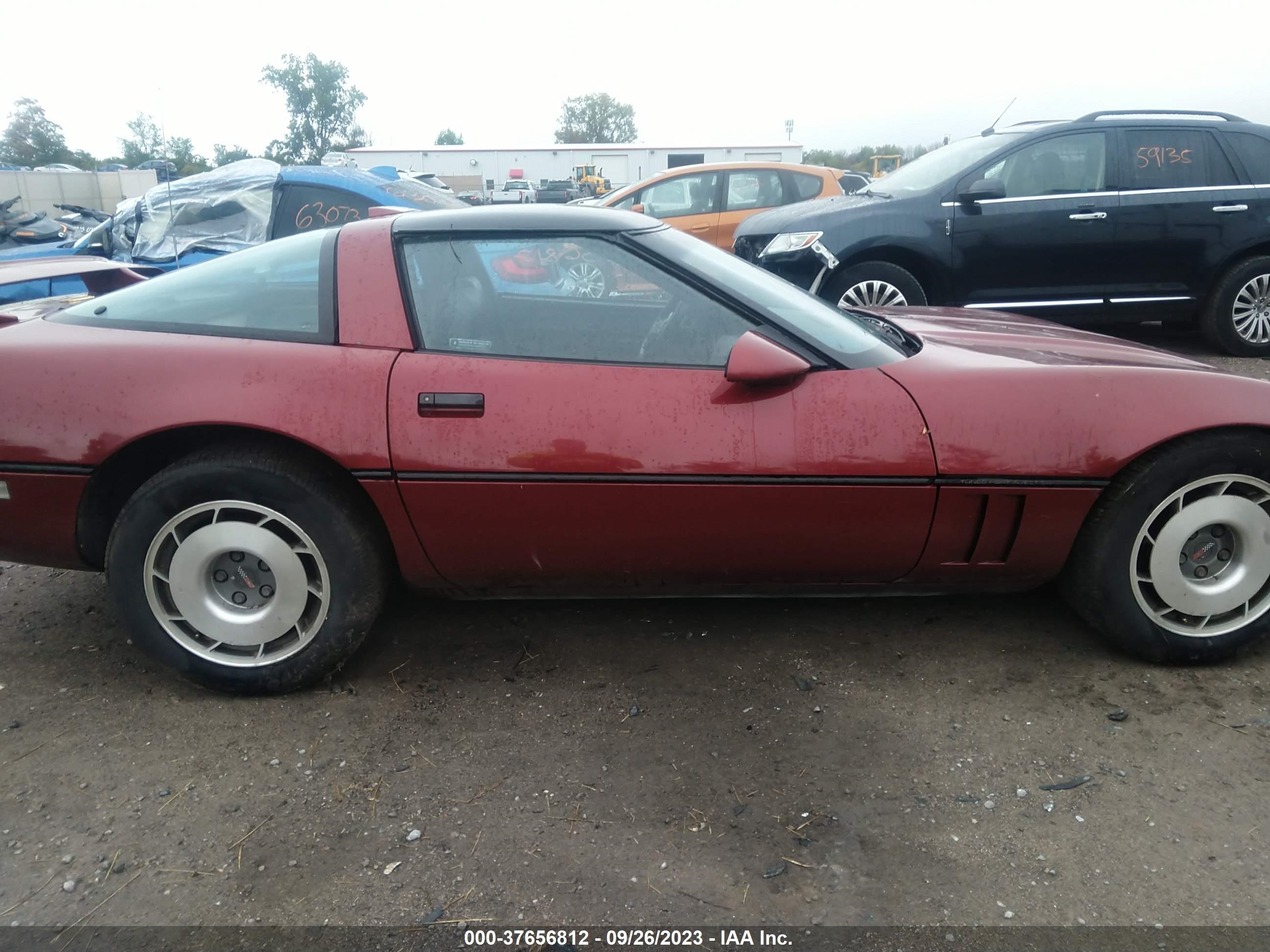 Photo 12 VIN: 1G1YY2183H5121401 - CHEVROLET CORVETTE 