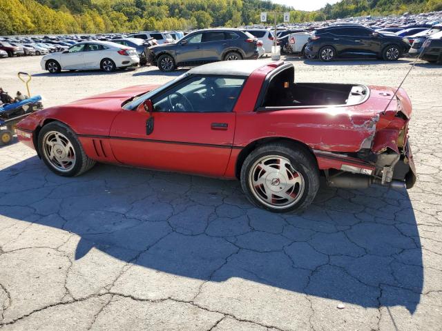 Photo 1 VIN: 1G1YY2185K5114778 - CHEVROLET CORVETTE 