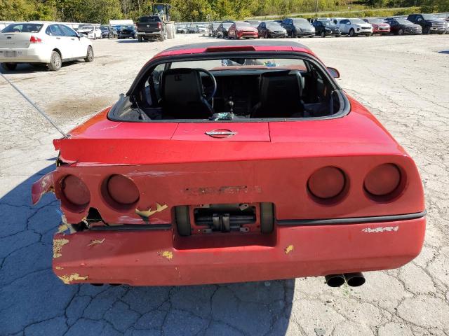 Photo 5 VIN: 1G1YY2185K5114778 - CHEVROLET CORVETTE 