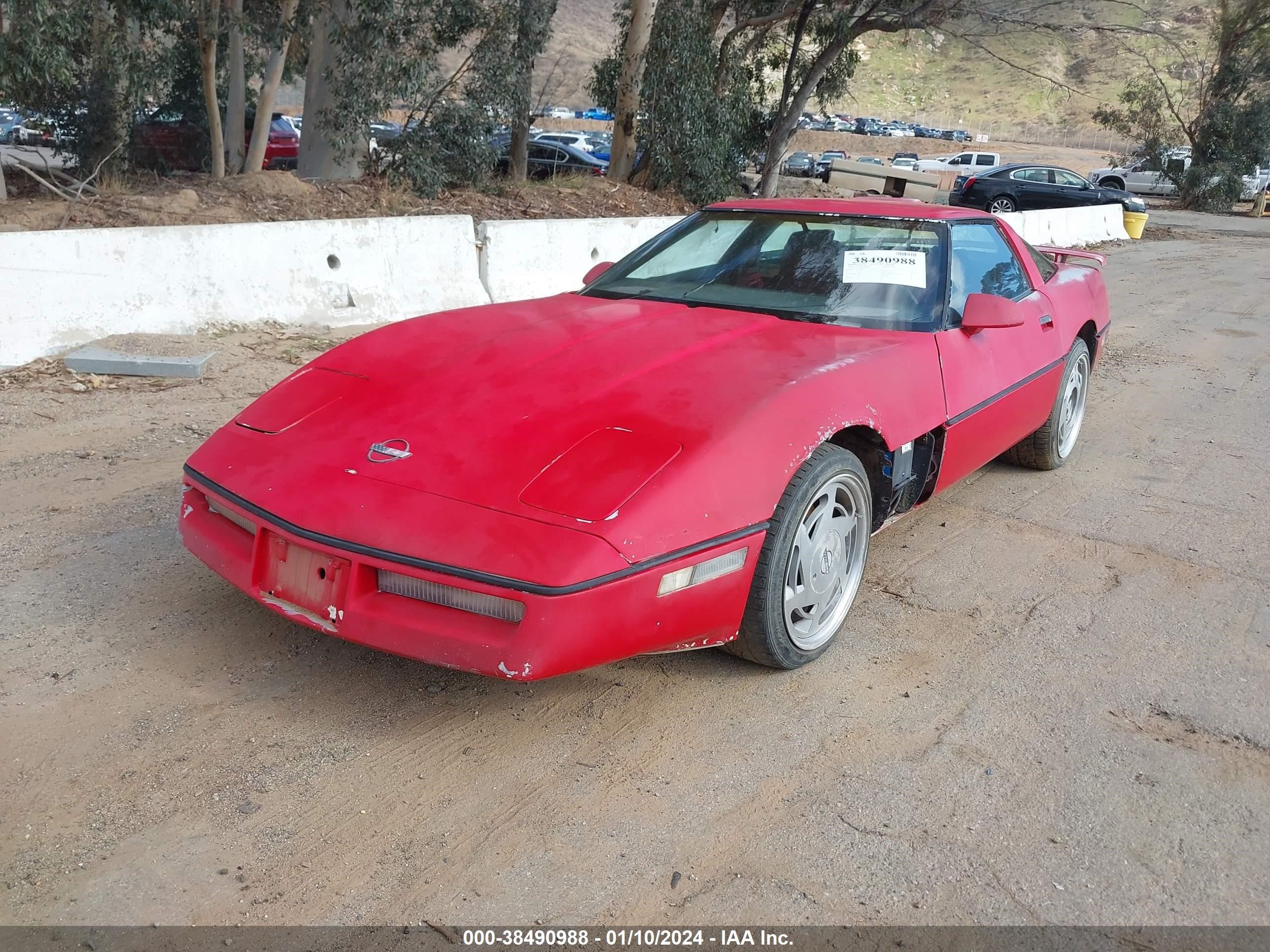 Photo 1 VIN: 1G1YY2186K5101442 - CHEVROLET CORVETTE 