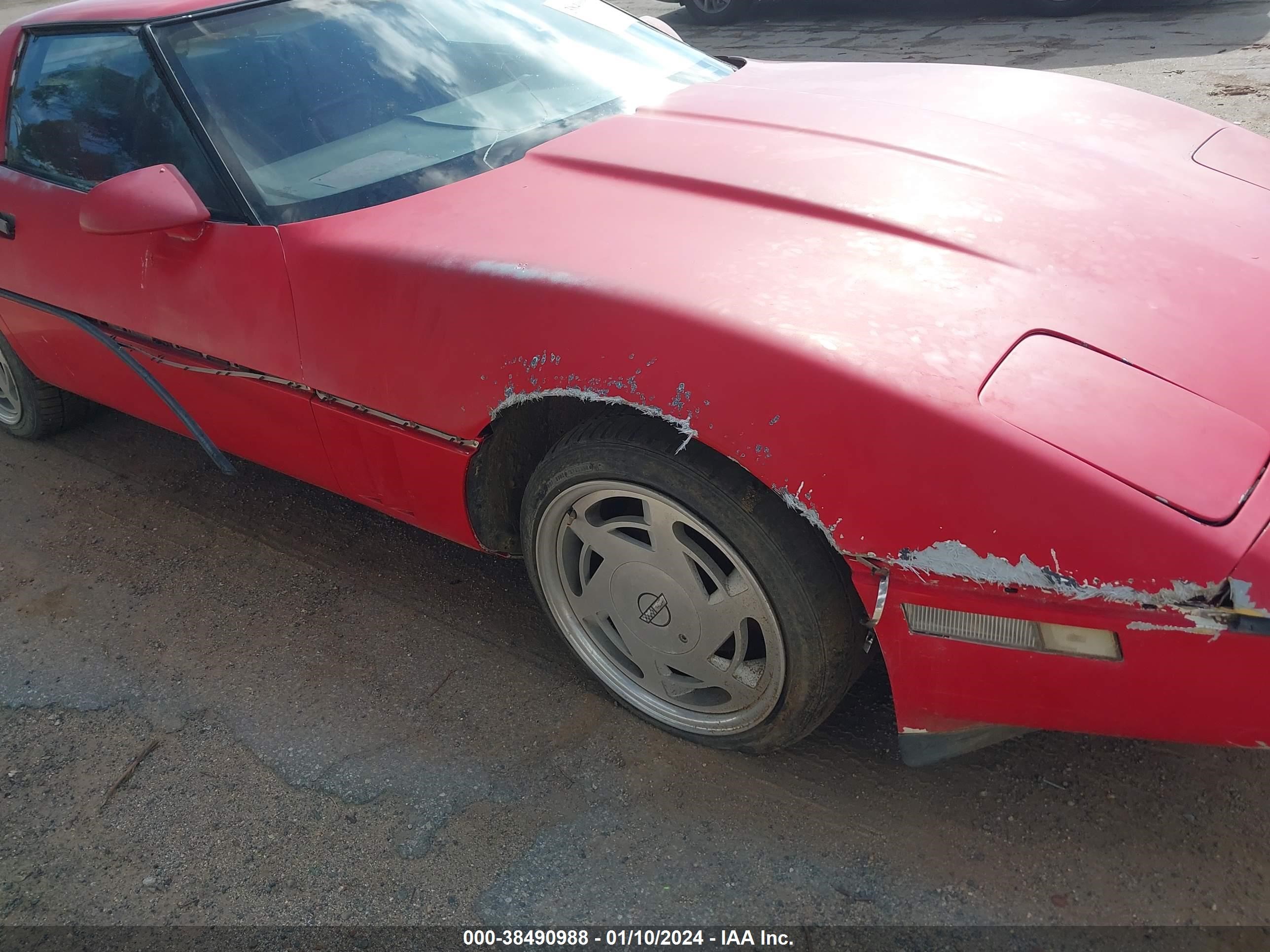 Photo 5 VIN: 1G1YY2186K5101442 - CHEVROLET CORVETTE 