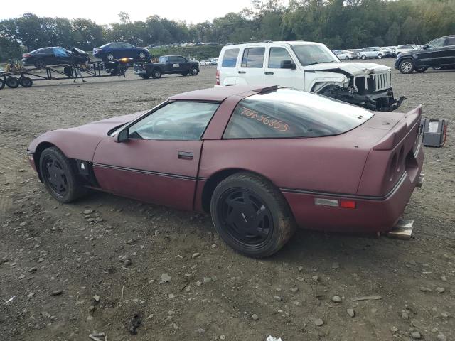 Photo 1 VIN: 1G1YY2186K5112506 - CHEVROLET CORVETTE 