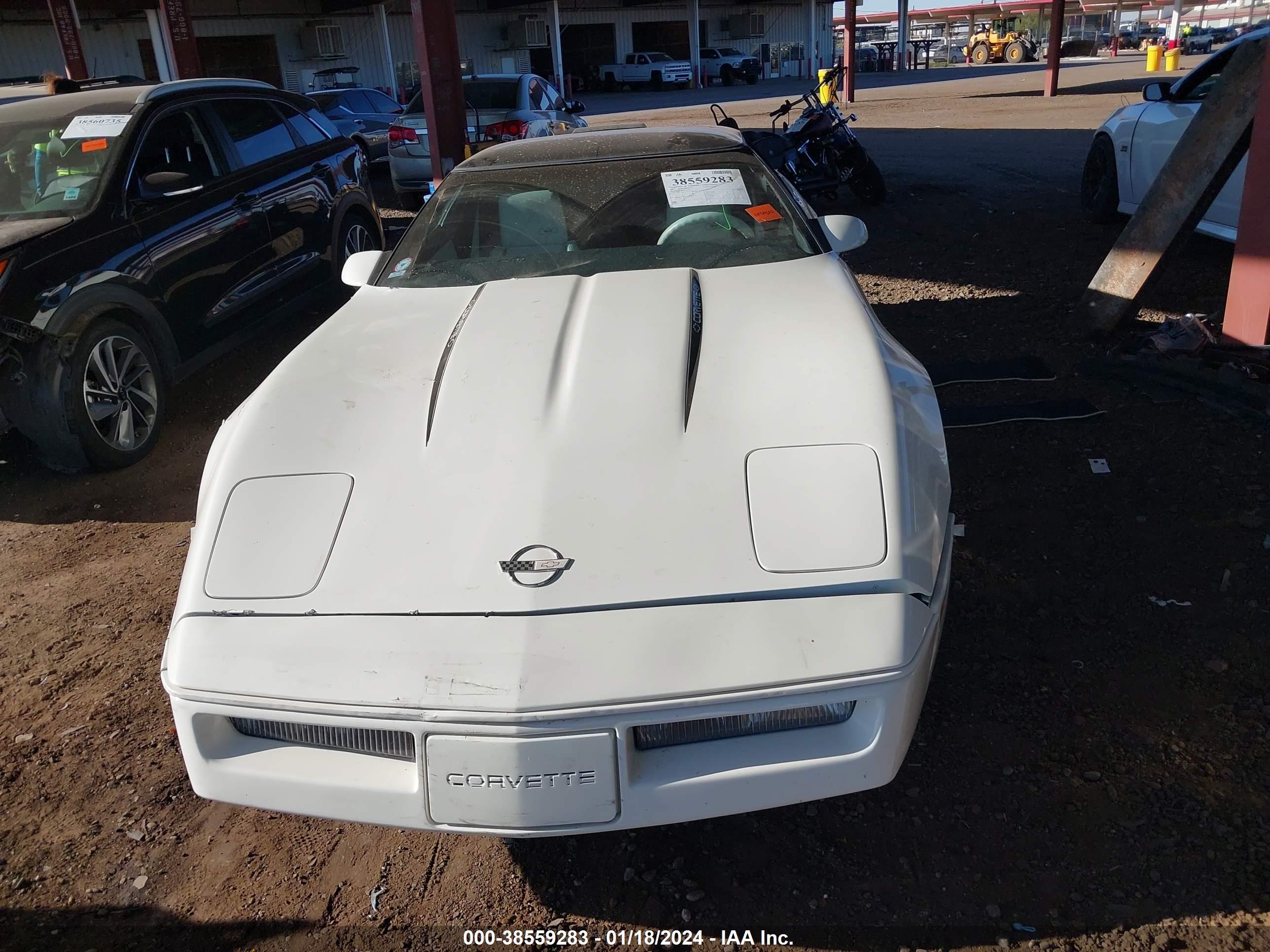 Photo 11 VIN: 1G1YY2187J5111928 - CHEVROLET CORVETTE 