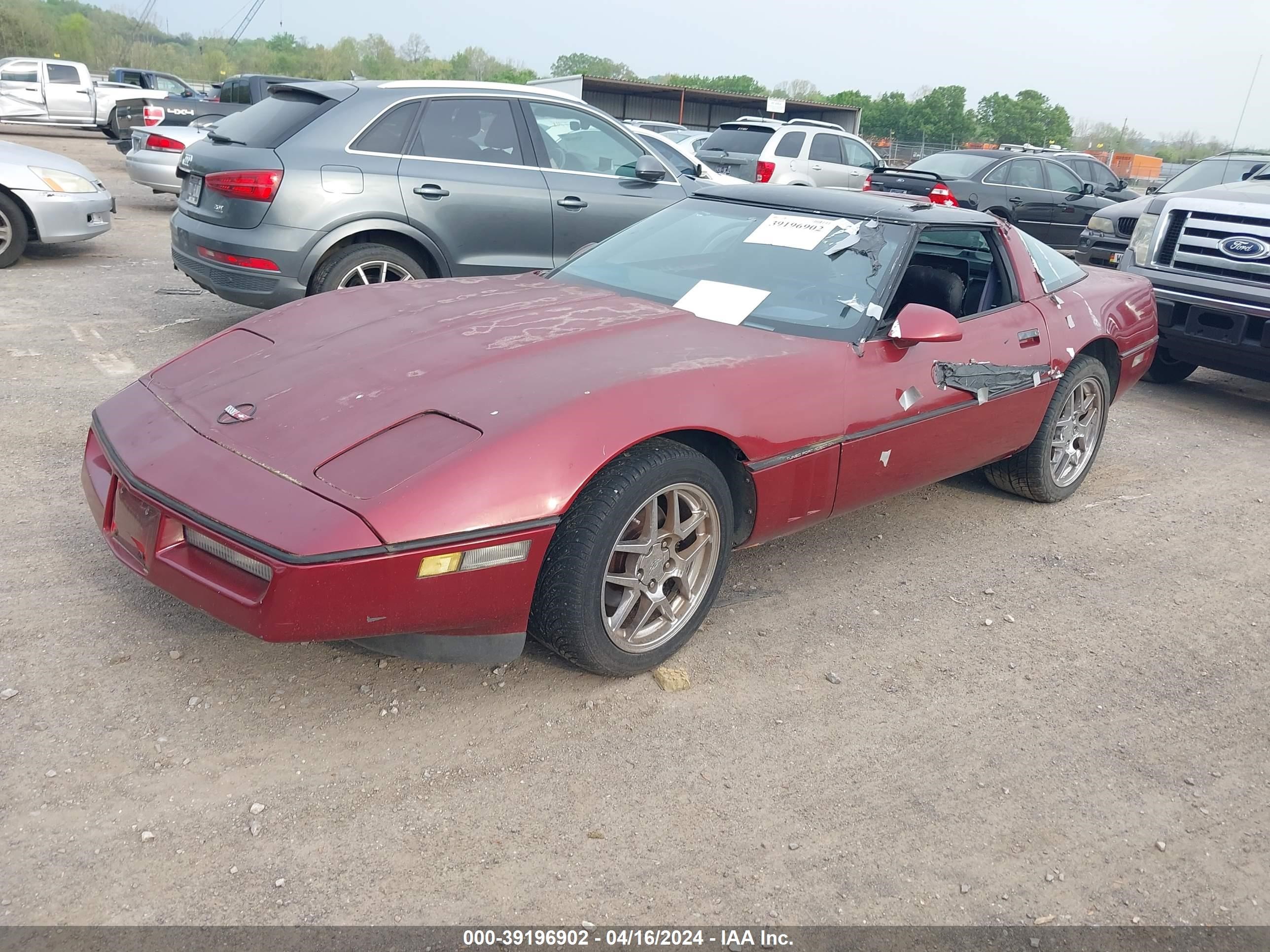 Photo 1 VIN: 1G1YY2187K5107556 - CHEVROLET CORVETTE 