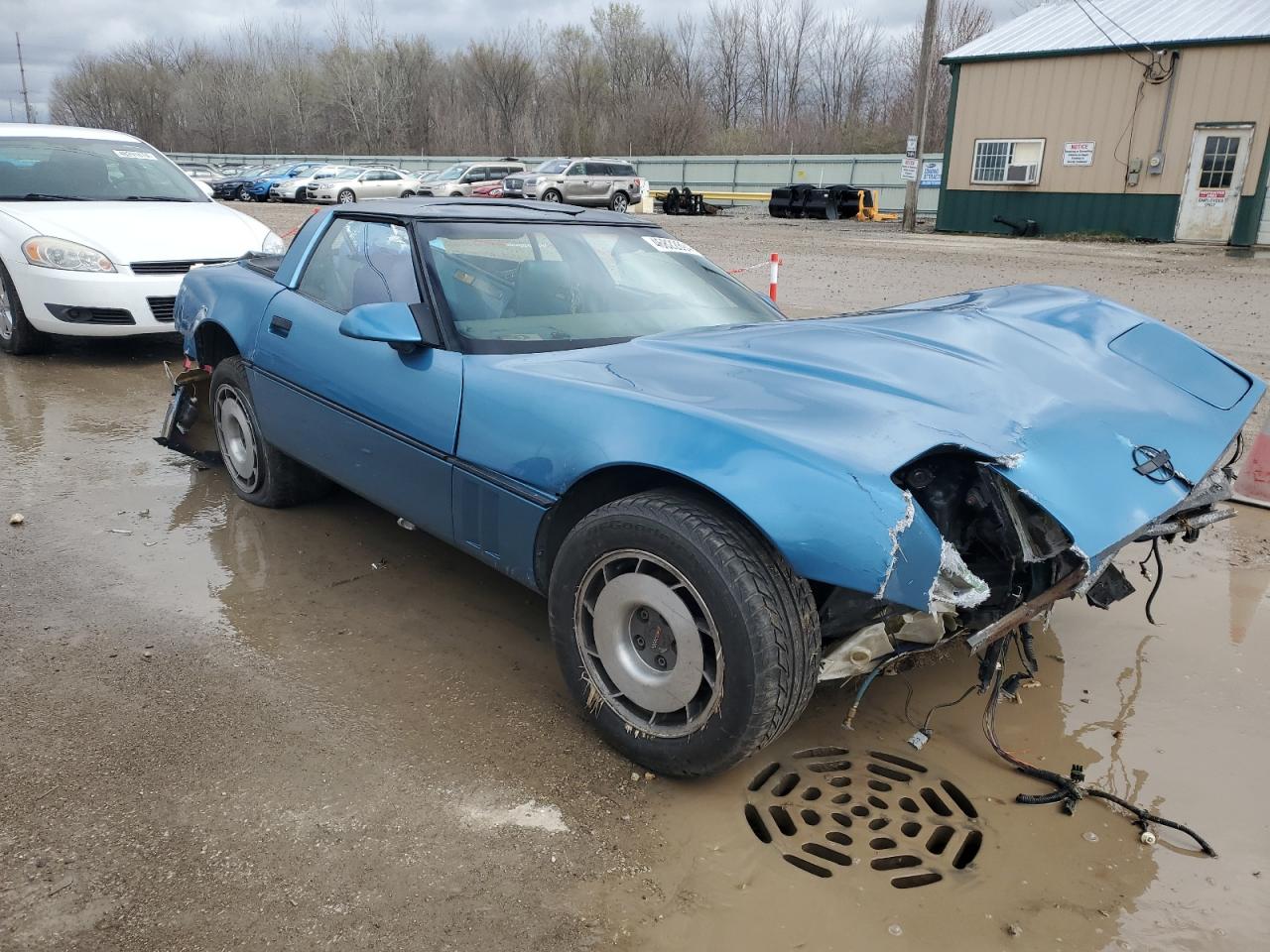 Photo 3 VIN: 1G1YY2188H5108241 - CHEVROLET CORVETTE 