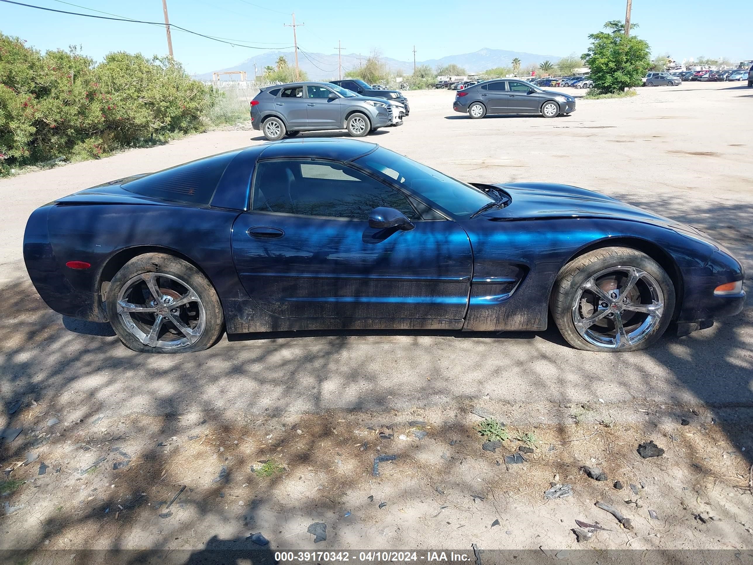 Photo 12 VIN: 1G1YY22G015116801 - CHEVROLET CORVETTE 