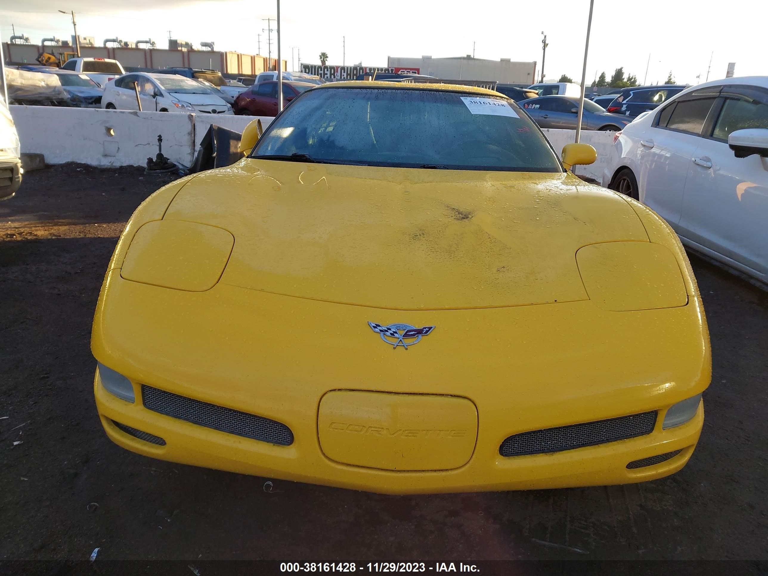 Photo 11 VIN: 1G1YY22G135113747 - CHEVROLET CORVETTE 