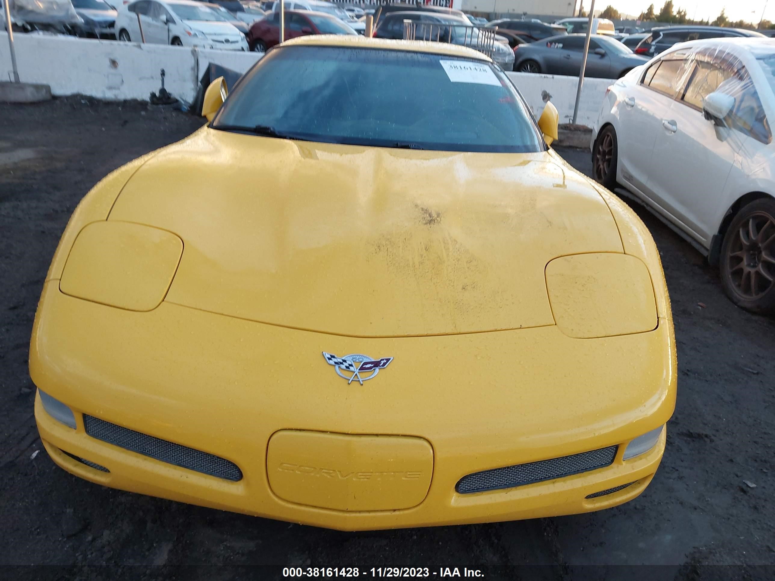 Photo 5 VIN: 1G1YY22G135113747 - CHEVROLET CORVETTE 