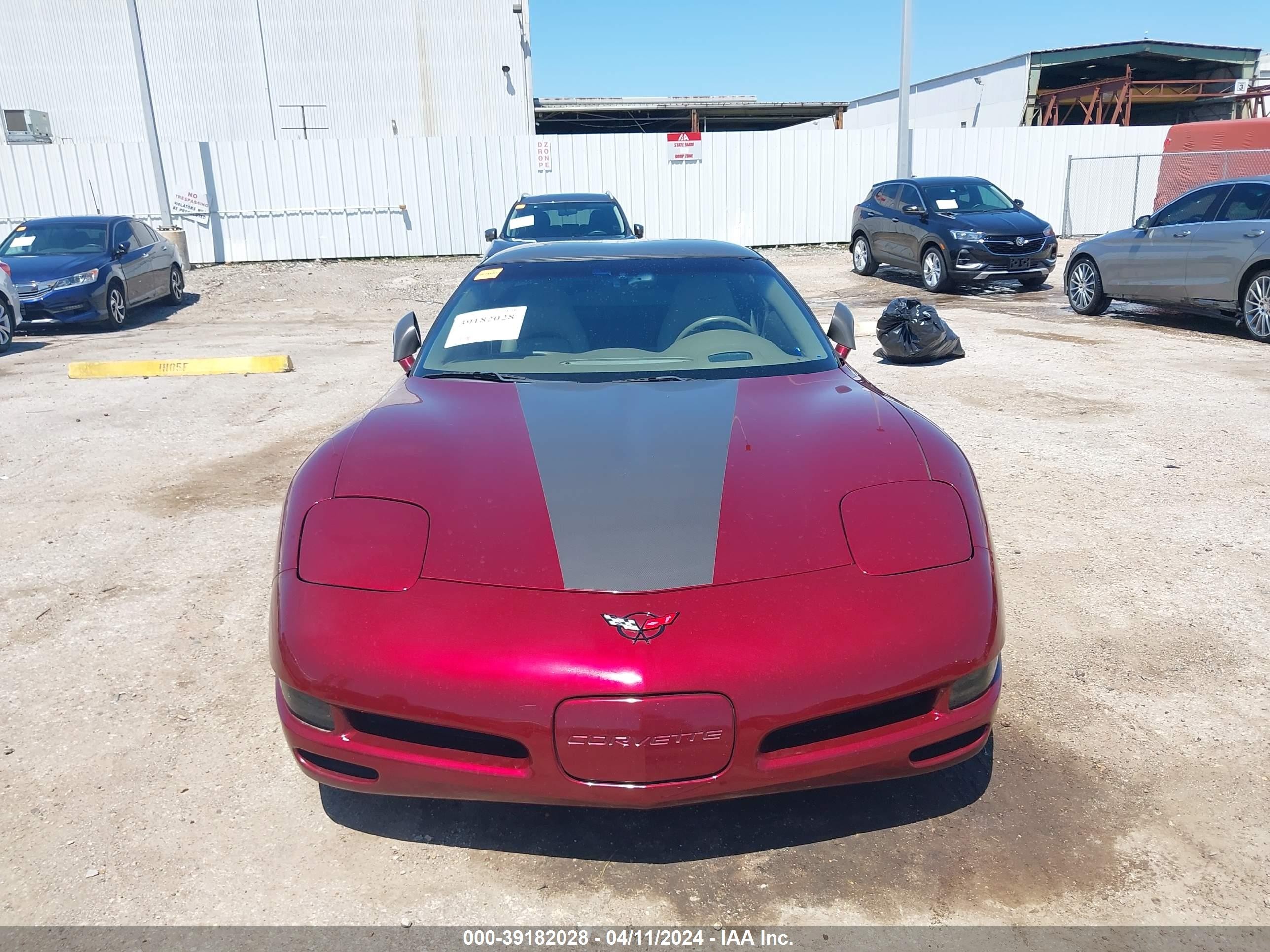 Photo 5 VIN: 1G1YY22G235123848 - CHEVROLET CORVETTE 