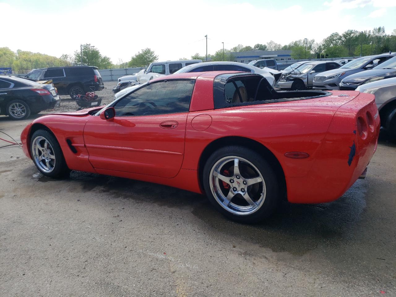 Photo 1 VIN: 1G1YY22G4W5117800 - CHEVROLET CORVETTE 