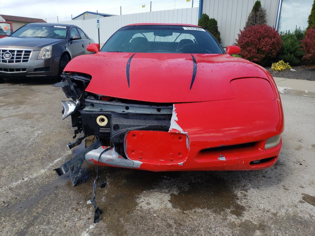 Photo 4 VIN: 1G1YY22G4W5117800 - CHEVROLET CORVETTE 